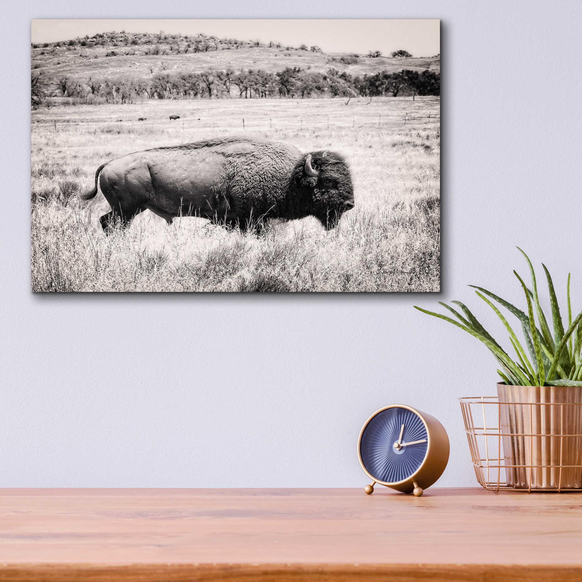 Epic Art 'Buffalo I BW' by Debra Van Swearingen, Acrylic Glass Wall Art,16x12