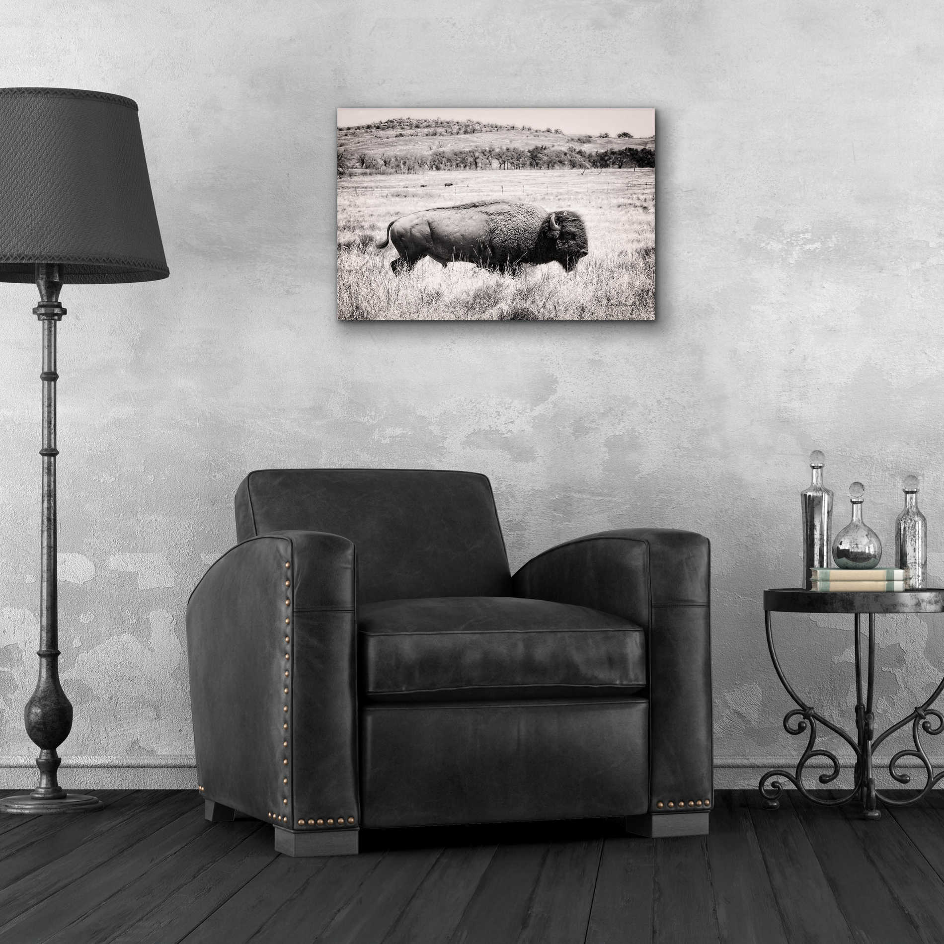 Epic Art 'Buffalo I BW' by Debra Van Swearingen, Acrylic Glass Wall Art,24x16