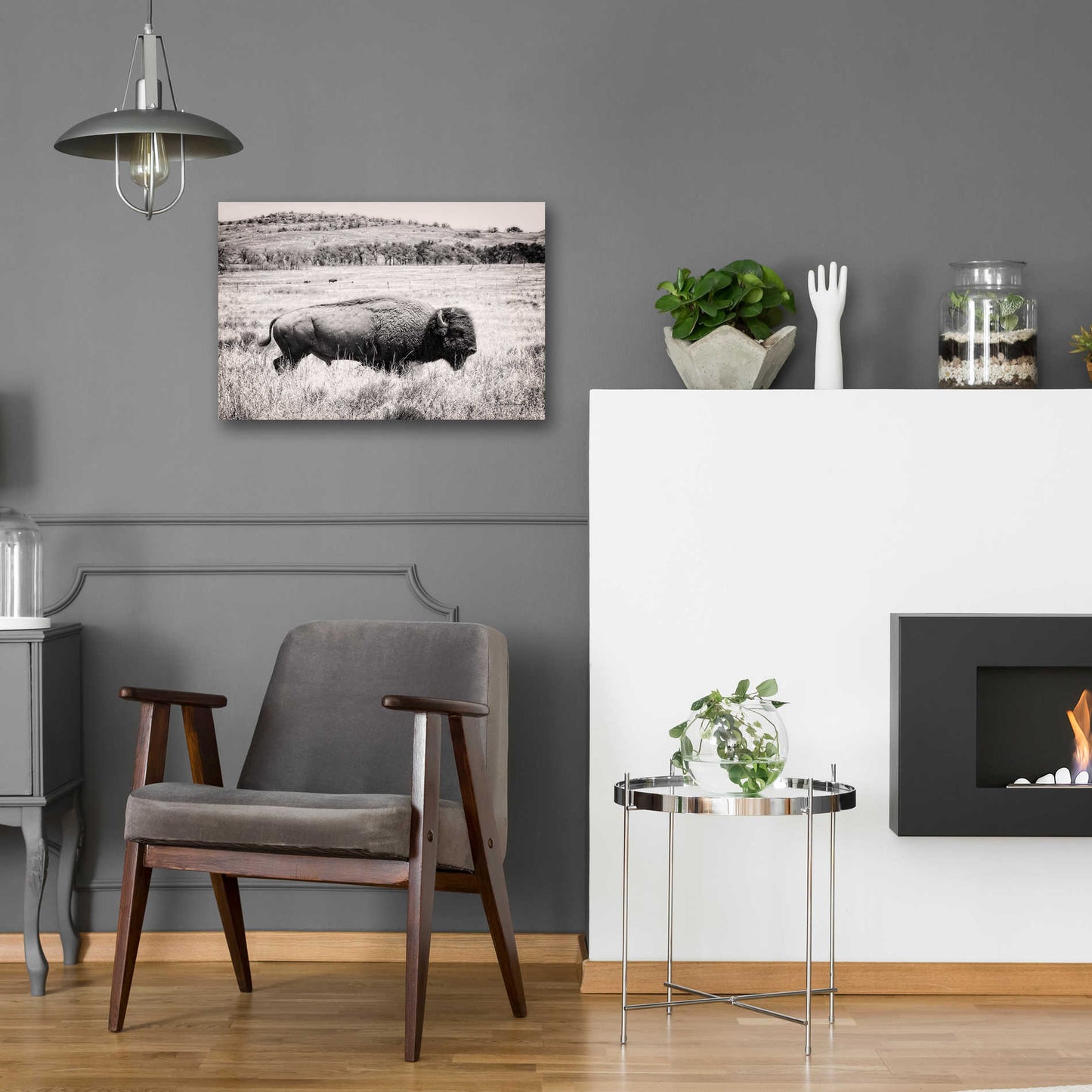 Epic Art 'Buffalo I BW' by Debra Van Swearingen, Acrylic Glass Wall Art,24x16