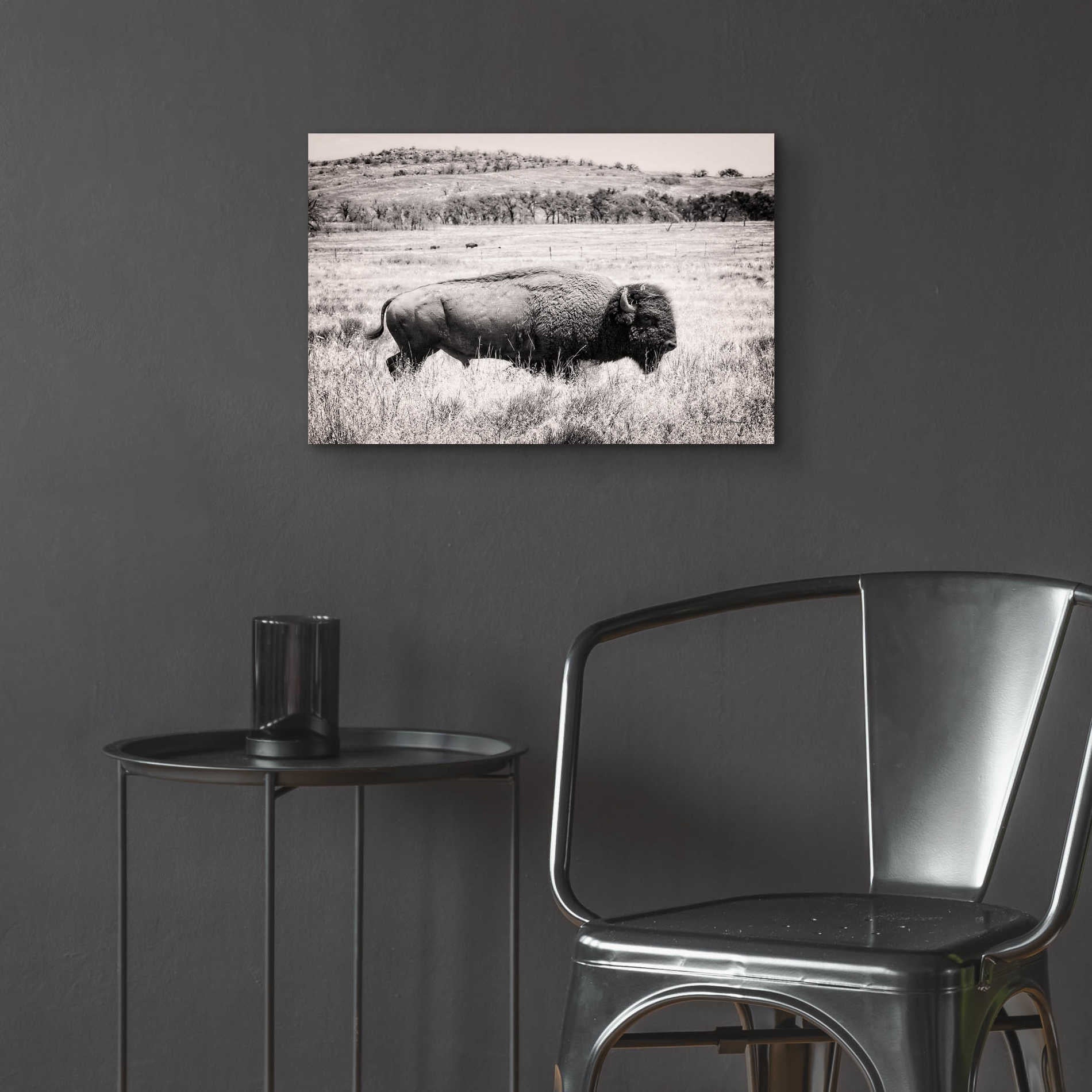 Epic Art 'Buffalo I BW' by Debra Van Swearingen, Acrylic Glass Wall Art,24x16