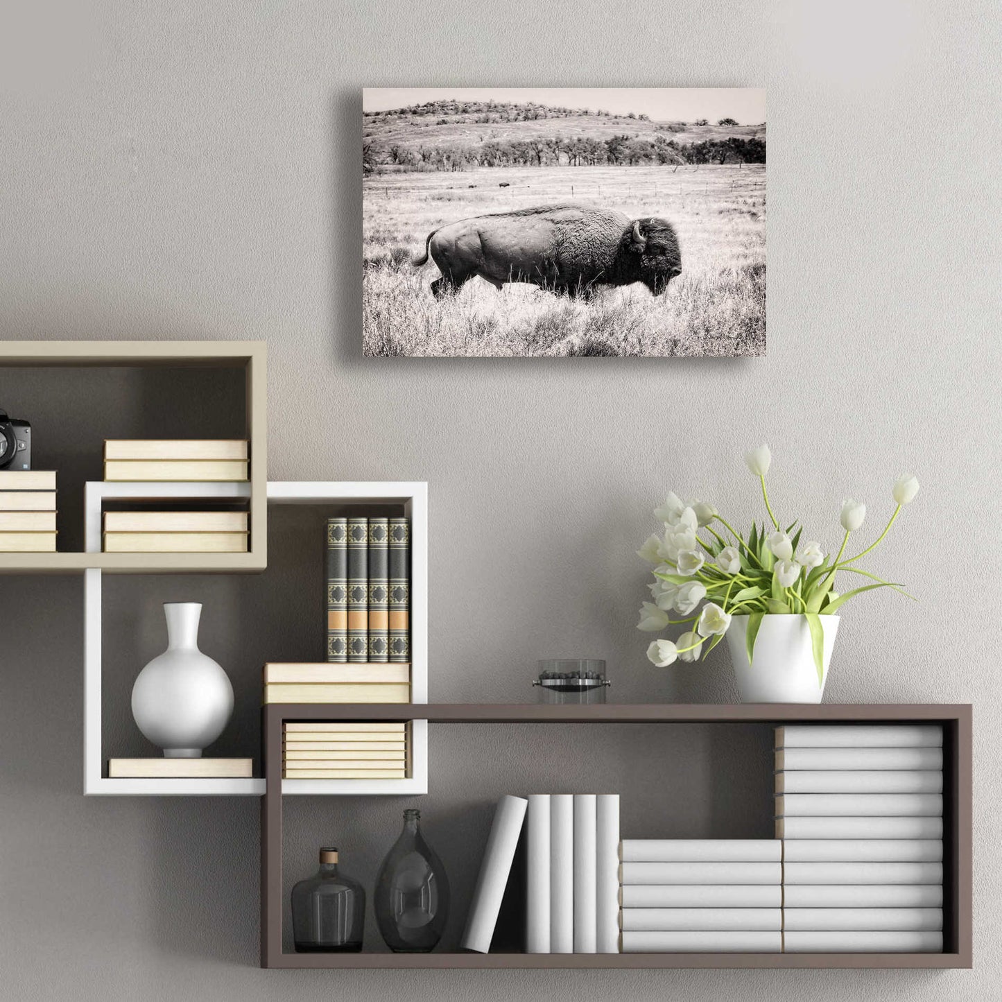 Epic Art 'Buffalo I BW' by Debra Van Swearingen, Acrylic Glass Wall Art,24x16