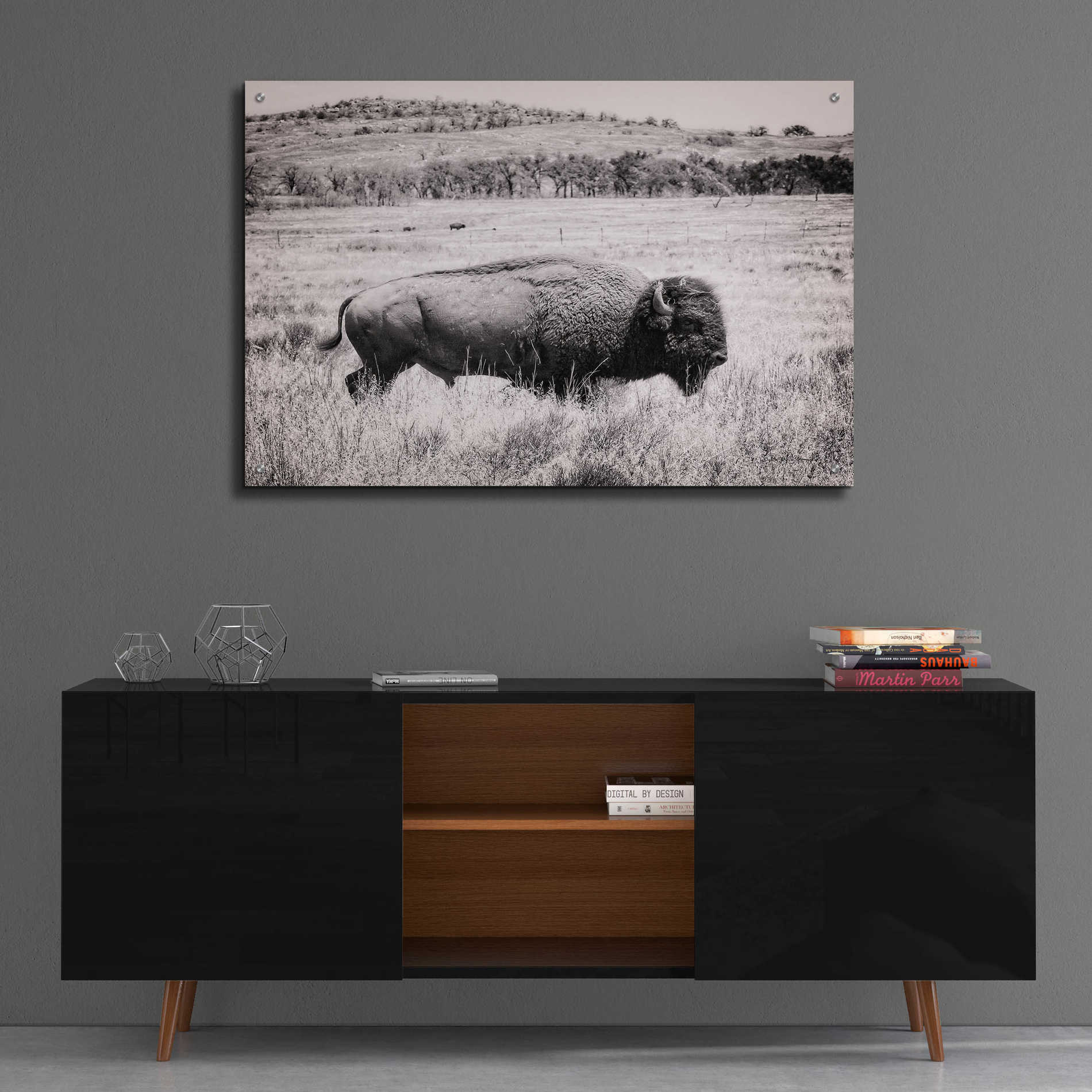 Epic Art 'Buffalo I BW' by Debra Van Swearingen, Acrylic Glass Wall Art,36x24