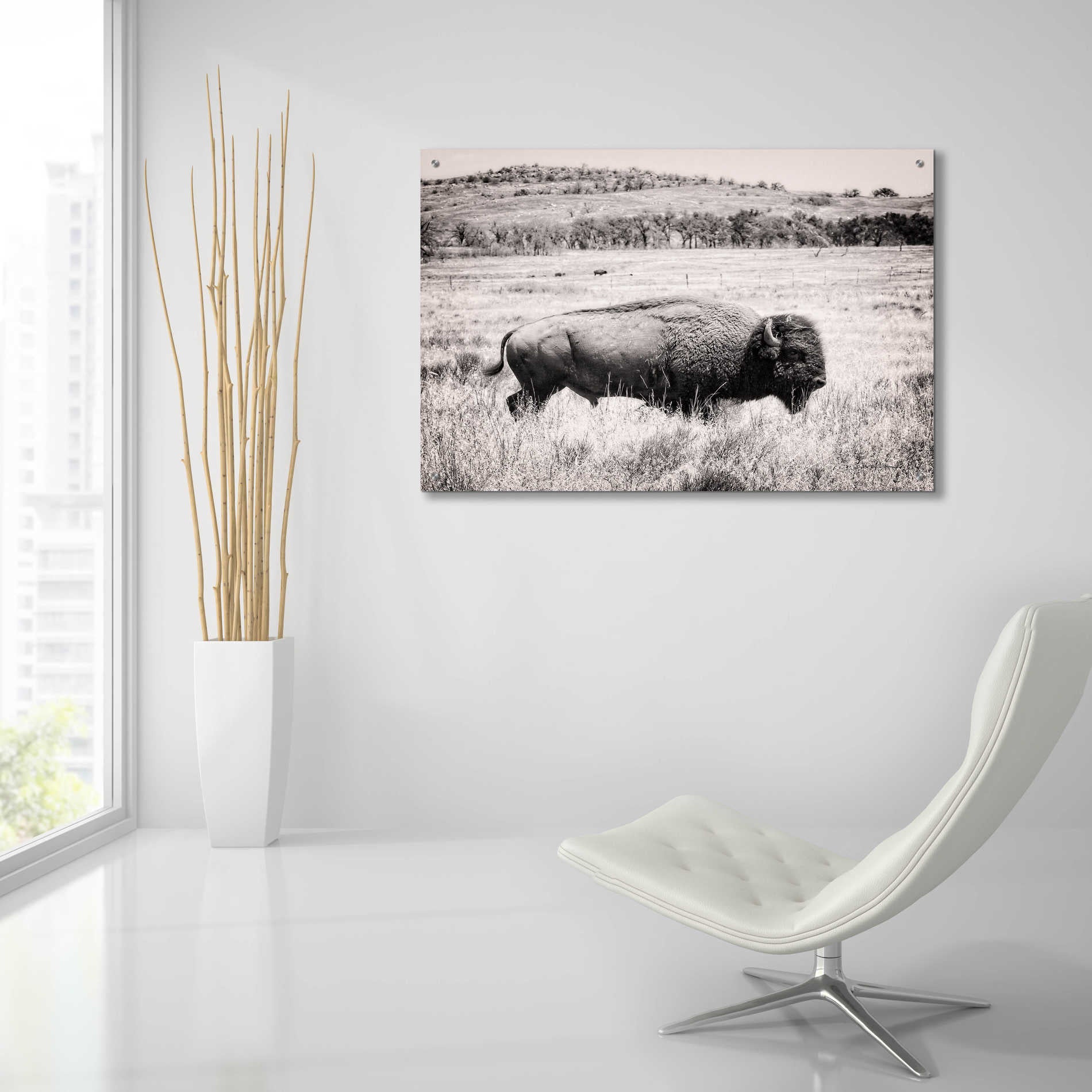 Epic Art 'Buffalo I BW' by Debra Van Swearingen, Acrylic Glass Wall Art,36x24