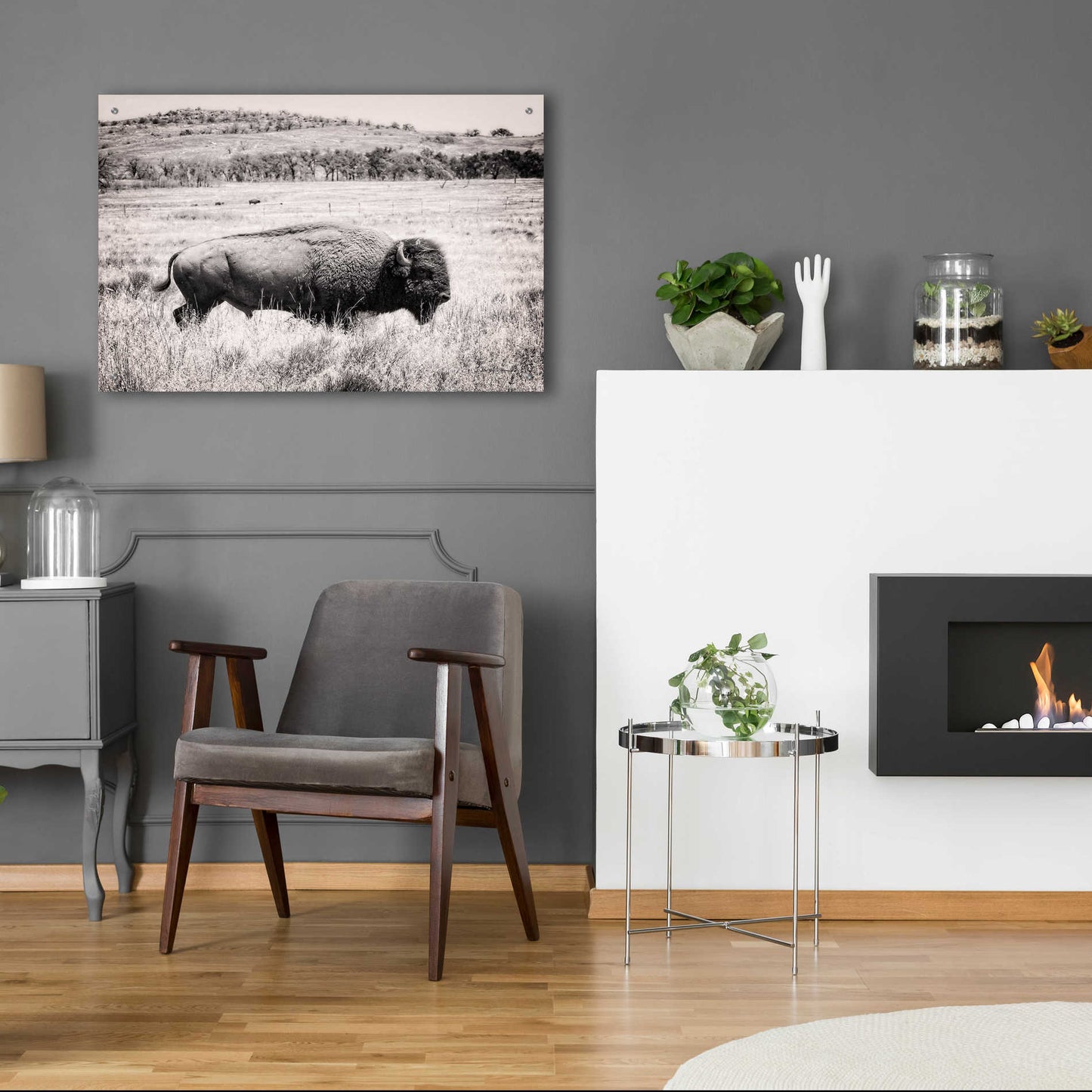 Epic Art 'Buffalo I BW' by Debra Van Swearingen, Acrylic Glass Wall Art,36x24