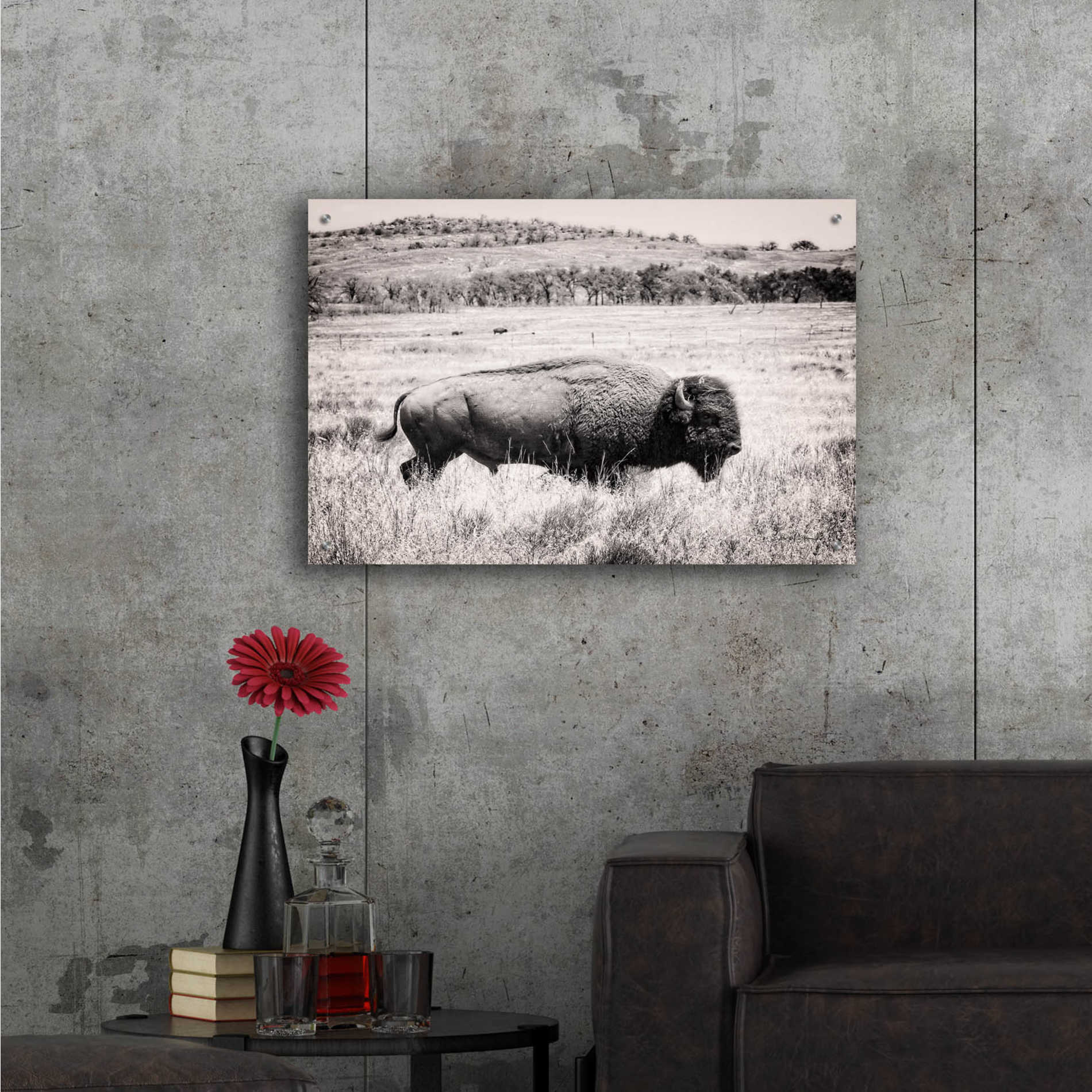 Epic Art 'Buffalo I BW' by Debra Van Swearingen, Acrylic Glass Wall Art,36x24