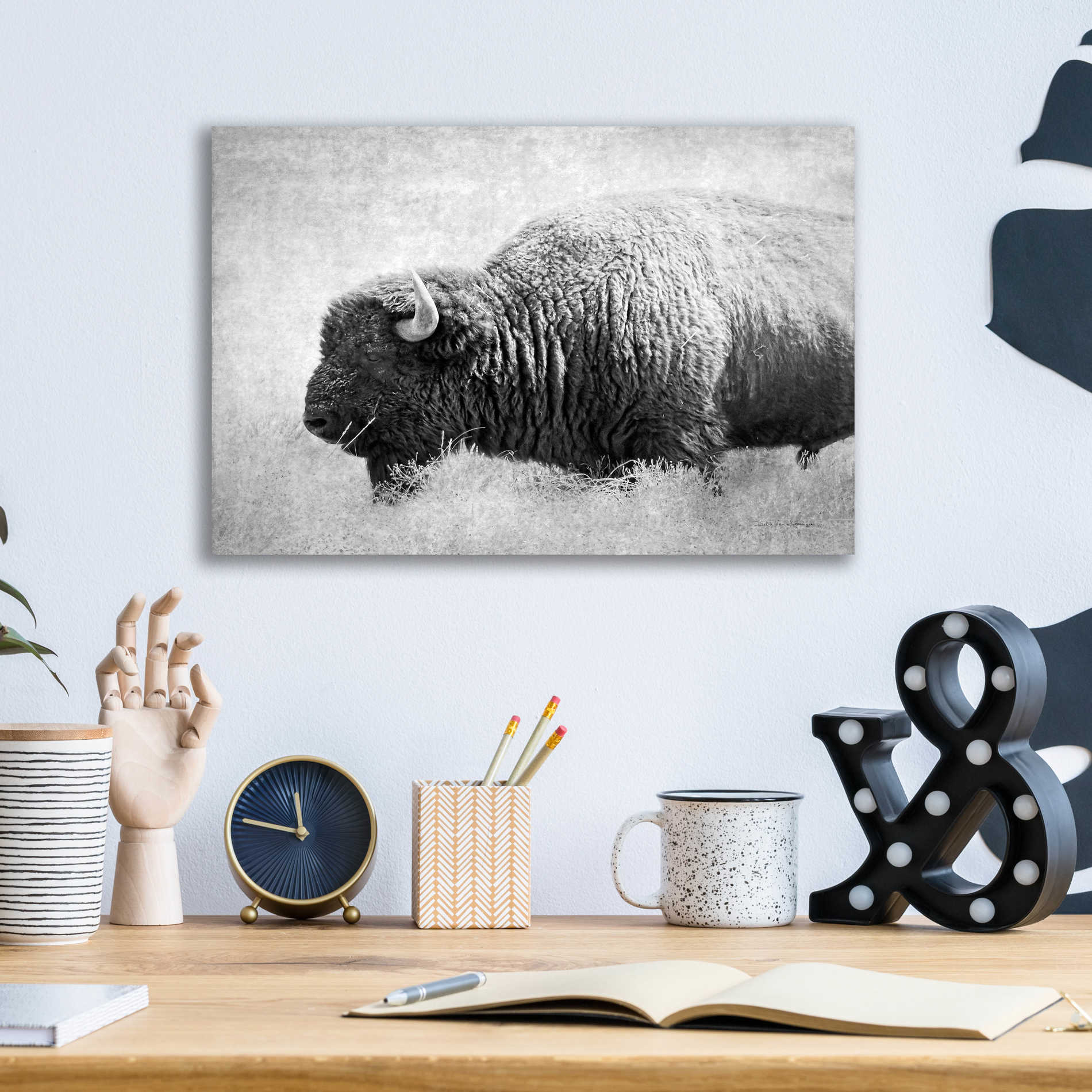 Epic Art 'Buffalo II BW' by Debra Van Swearingen, Acrylic Glass Wall Art,16x12