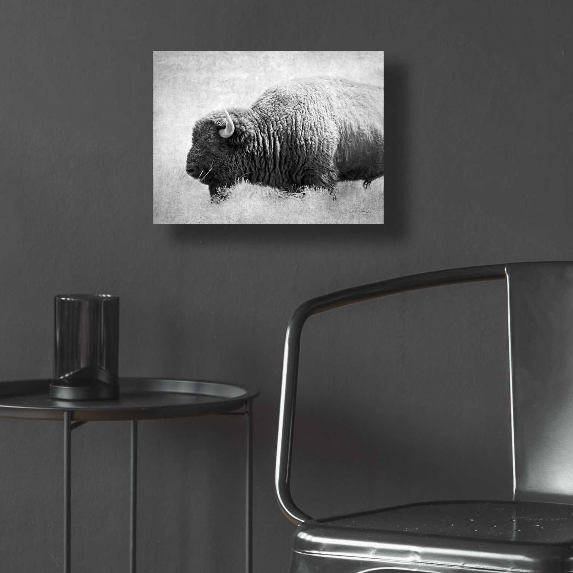 Epic Art 'Buffalo II BW' by Debra Van Swearingen, Acrylic Glass Wall Art,16x12