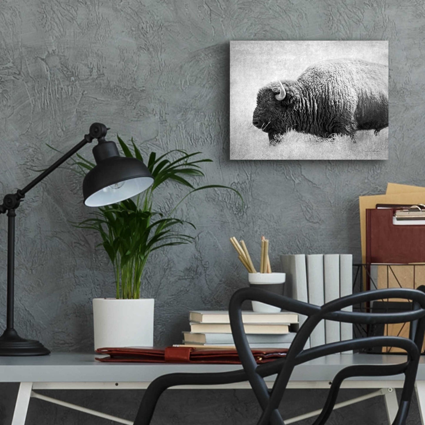 Epic Art 'Buffalo II BW' by Debra Van Swearingen, Acrylic Glass Wall Art,16x12