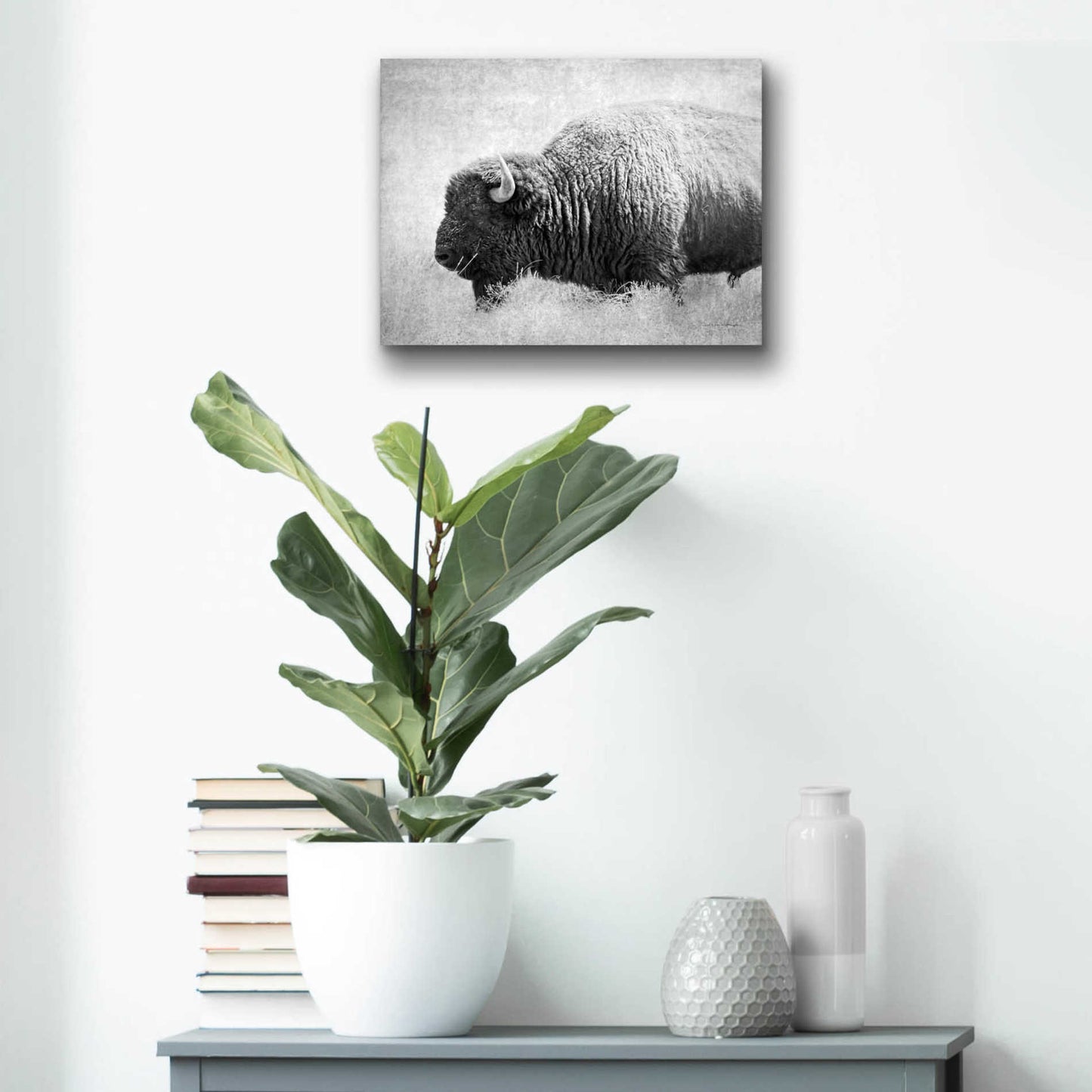 Epic Art 'Buffalo II BW' by Debra Van Swearingen, Acrylic Glass Wall Art,16x12