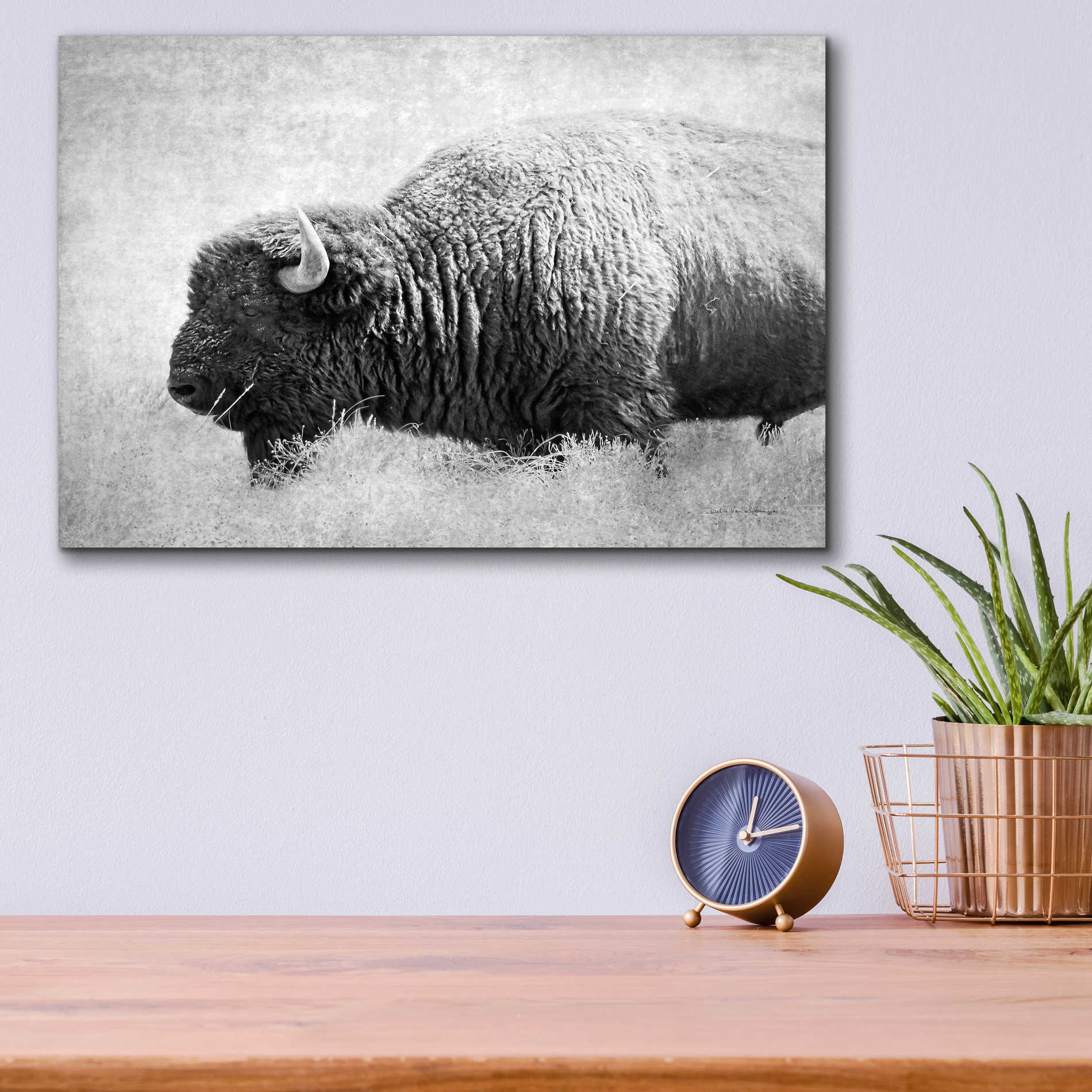 Epic Art 'Buffalo II BW' by Debra Van Swearingen, Acrylic Glass Wall Art,16x12