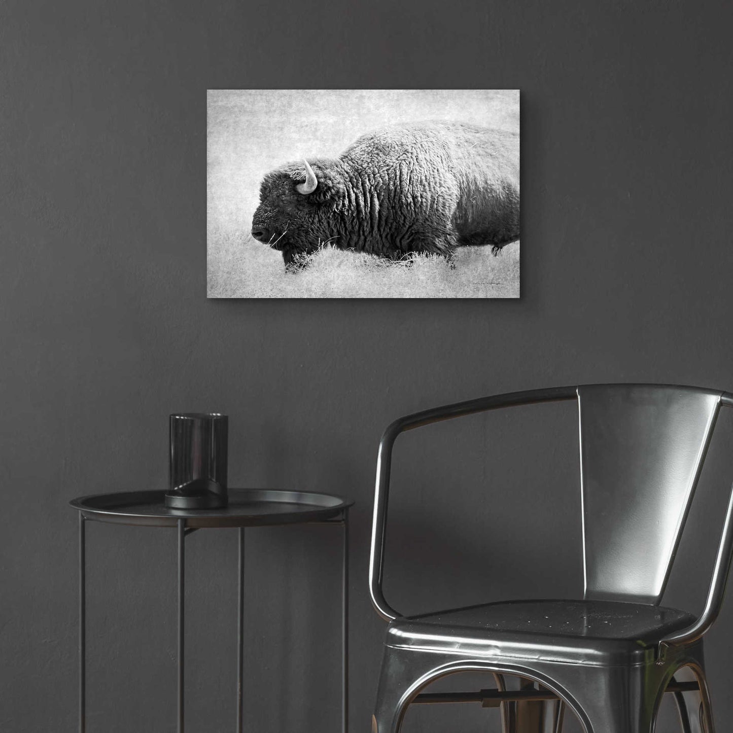 Epic Art 'Buffalo II BW' by Debra Van Swearingen, Acrylic Glass Wall Art,24x16