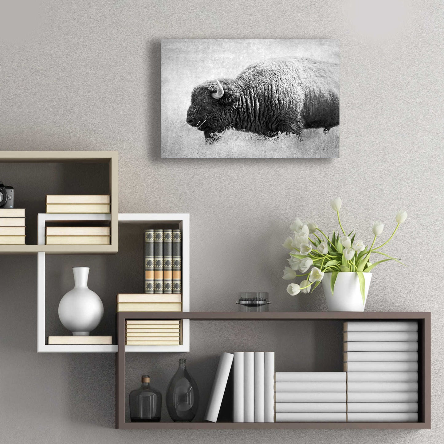 Epic Art 'Buffalo II BW' by Debra Van Swearingen, Acrylic Glass Wall Art,24x16