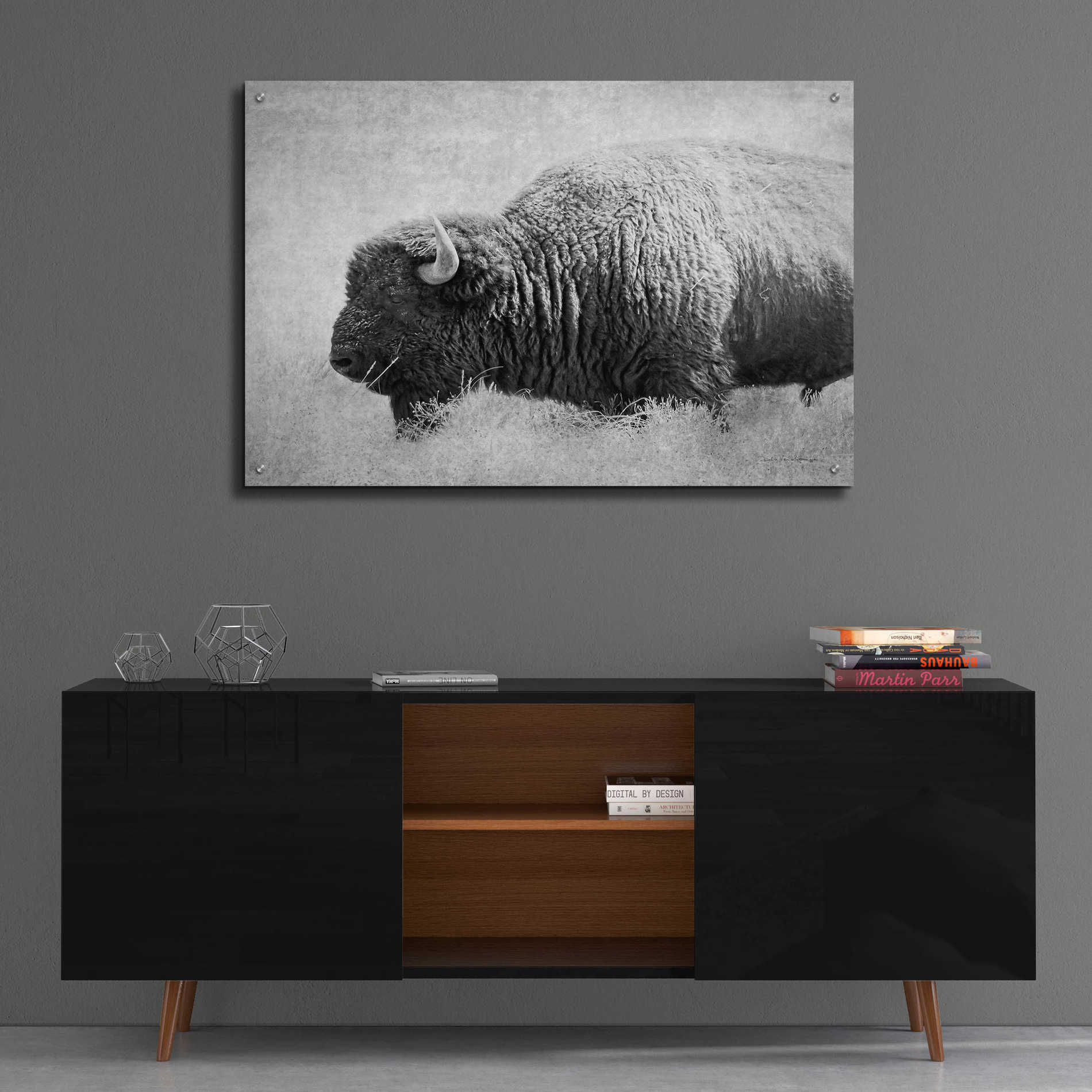 Epic Art 'Buffalo II BW' by Debra Van Swearingen, Acrylic Glass Wall Art,36x24