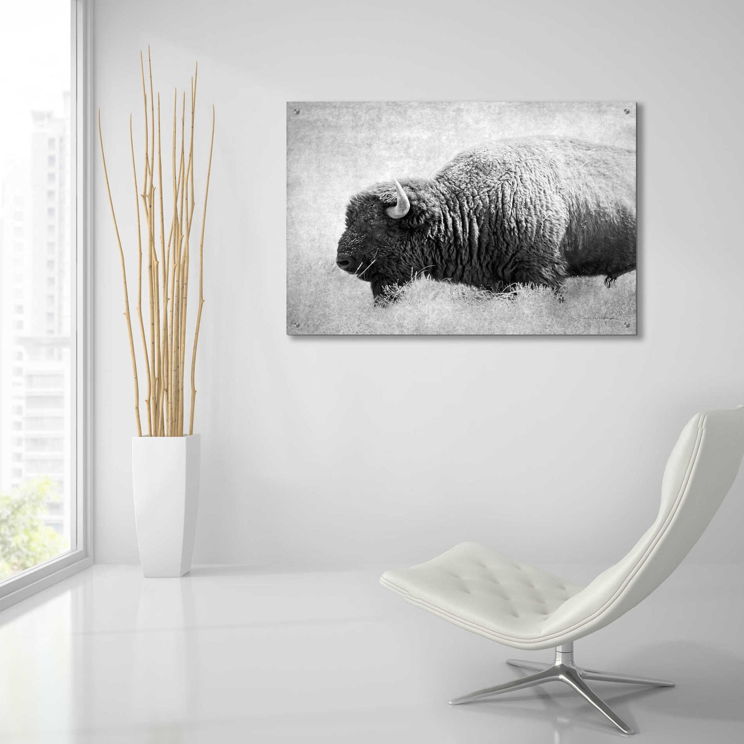 Epic Art 'Buffalo II BW' by Debra Van Swearingen, Acrylic Glass Wall Art,36x24