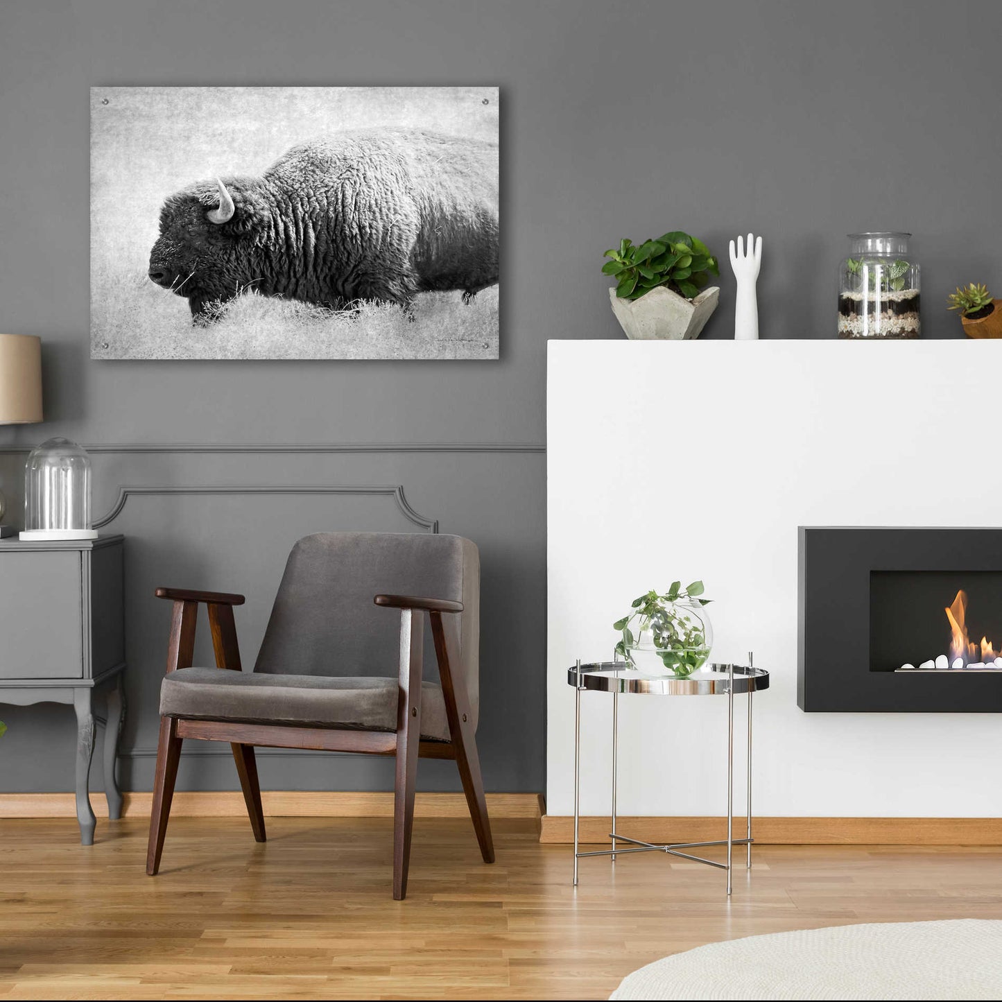 Epic Art 'Buffalo II BW' by Debra Van Swearingen, Acrylic Glass Wall Art,36x24