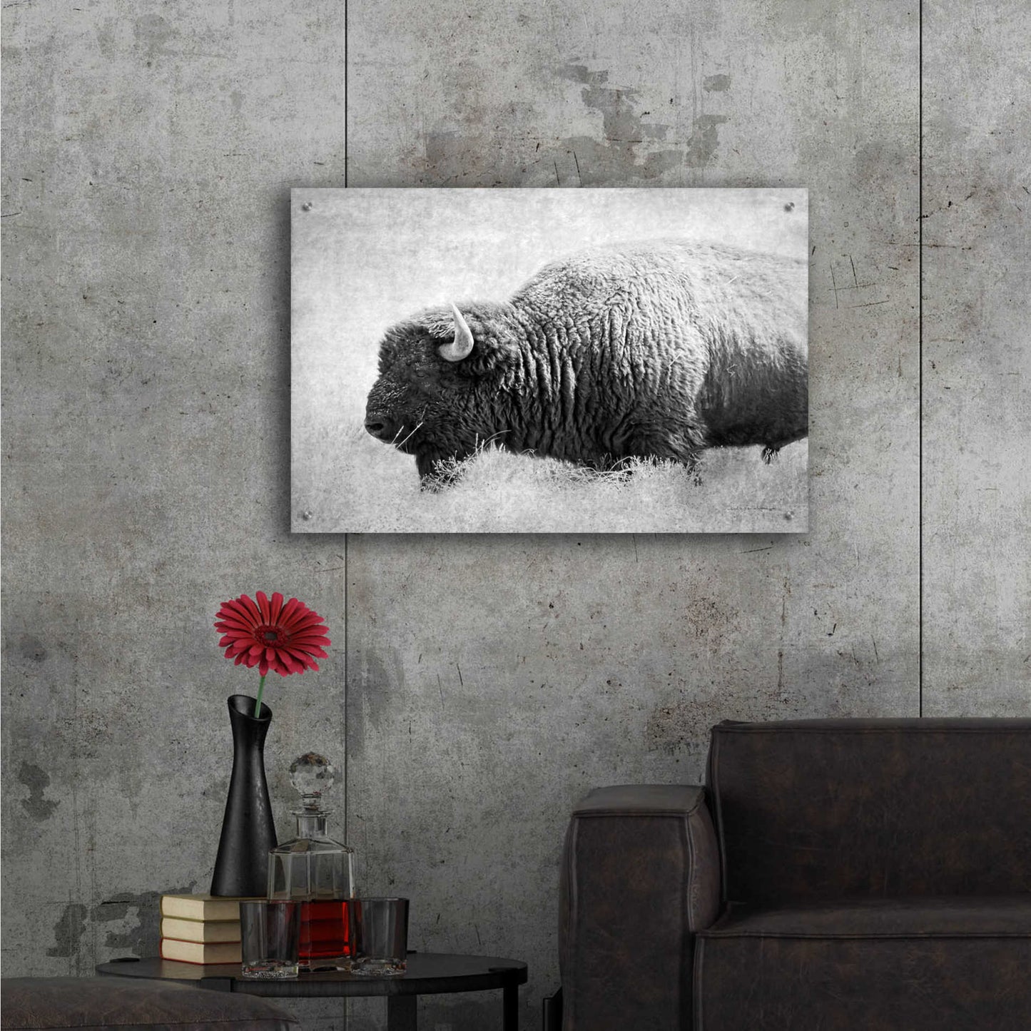 Epic Art 'Buffalo II BW' by Debra Van Swearingen, Acrylic Glass Wall Art,36x24