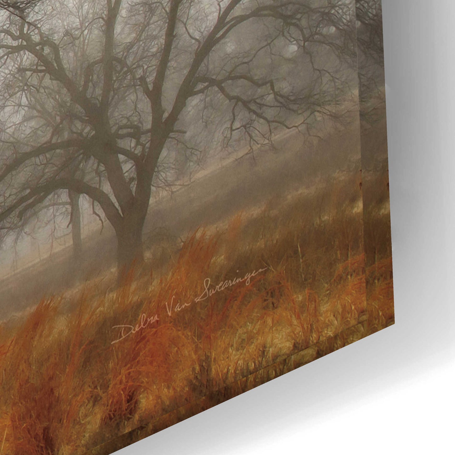 Epic Art 'Morning Calm I' by Debra Van Swearingen, Acrylic Glass Wall Art,24x16