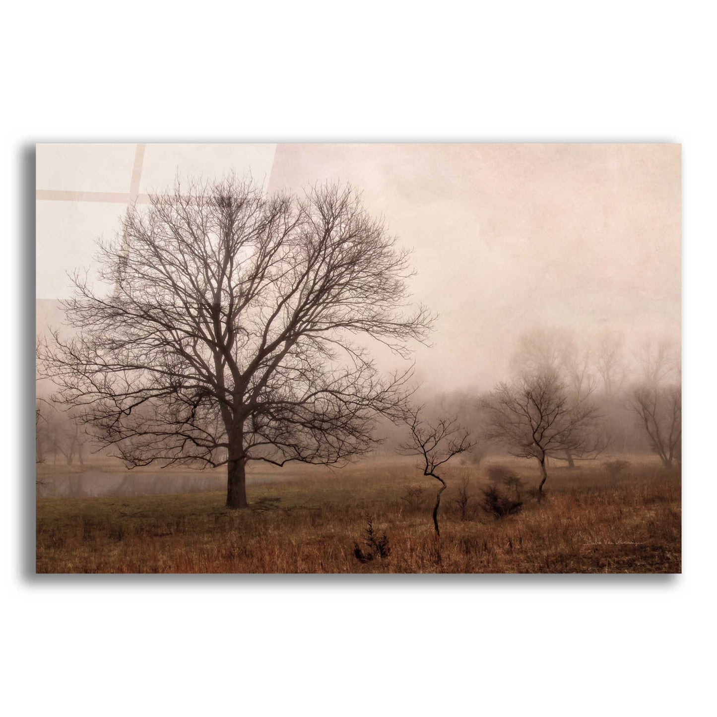 Epic Art 'Morning Calm IV' by Debra Van Swearingen, Acrylic Glass Wall Art,24x16