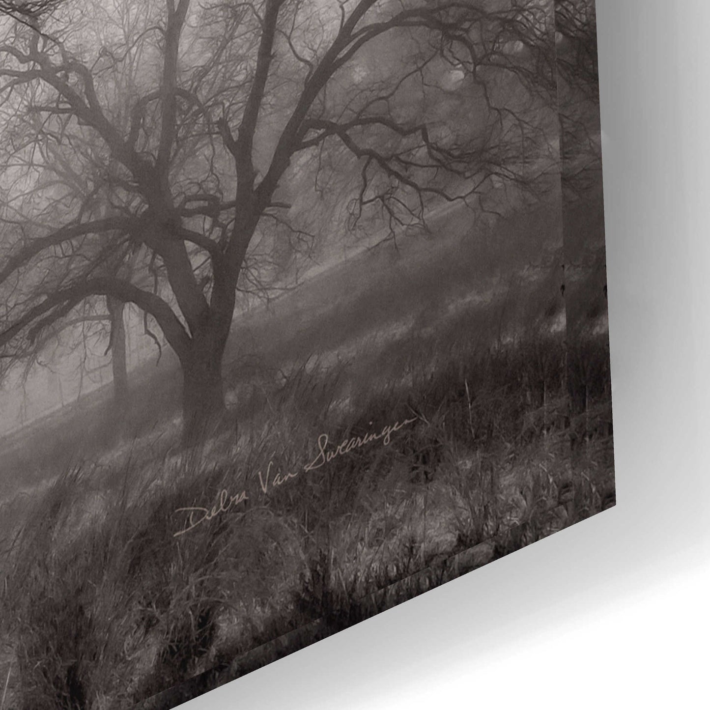 Epic Art 'Morning Calm I BW' by Debra Van Swearingen, Acrylic Glass Wall Art,24x16