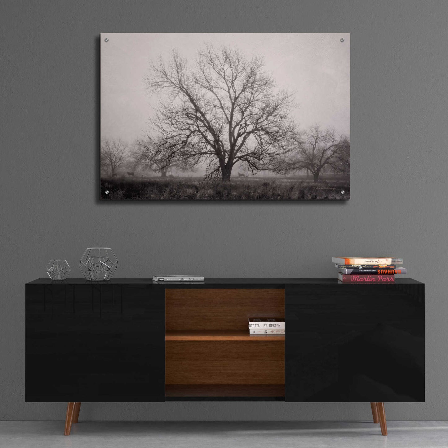 Epic Art 'Morning Calm I BW' by Debra Van Swearingen, Acrylic Glass Wall Art,36x24