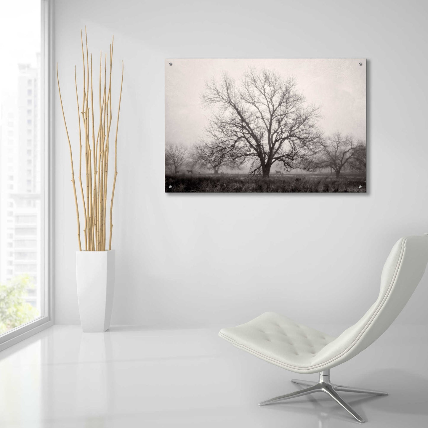 Epic Art 'Morning Calm I BW' by Debra Van Swearingen, Acrylic Glass Wall Art,36x24