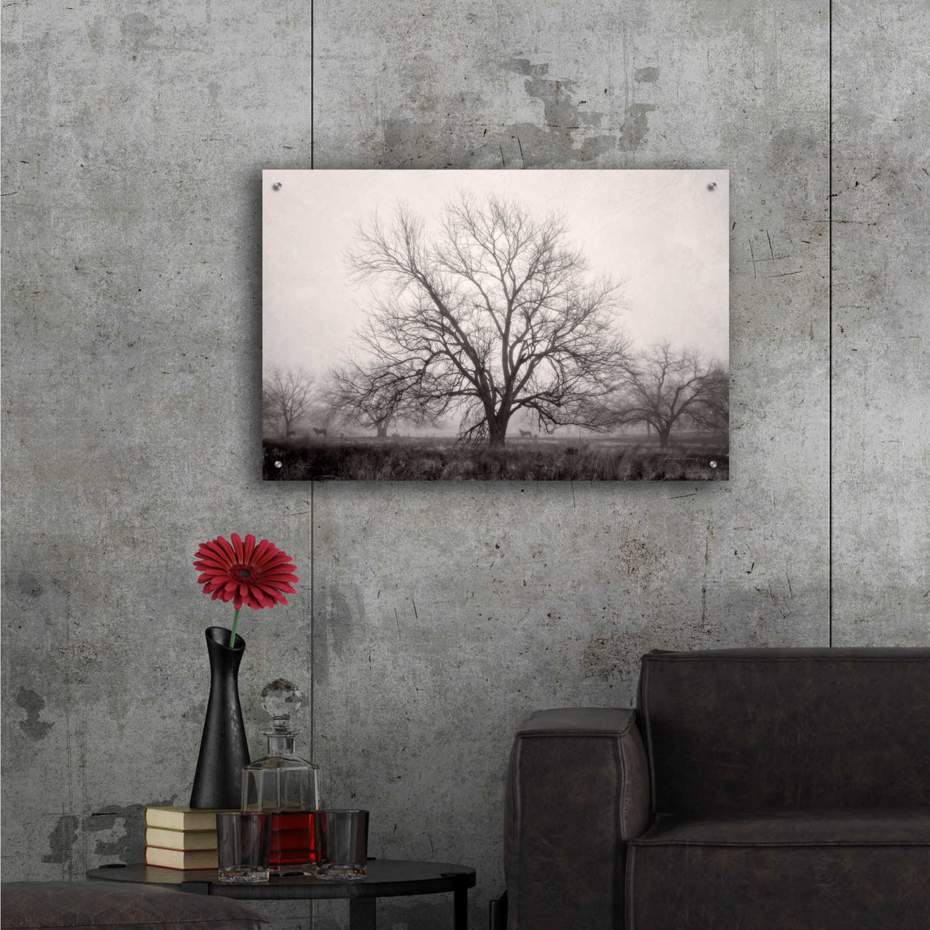 Epic Art 'Morning Calm I BW' by Debra Van Swearingen, Acrylic Glass Wall Art,36x24