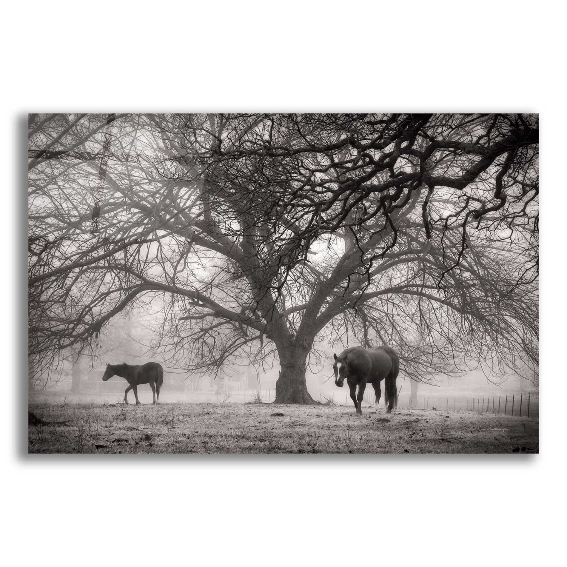 Epic Art 'Morning Calm II BW' by Debra Van Swearingen, Acrylic Glass Wall Art,24x16