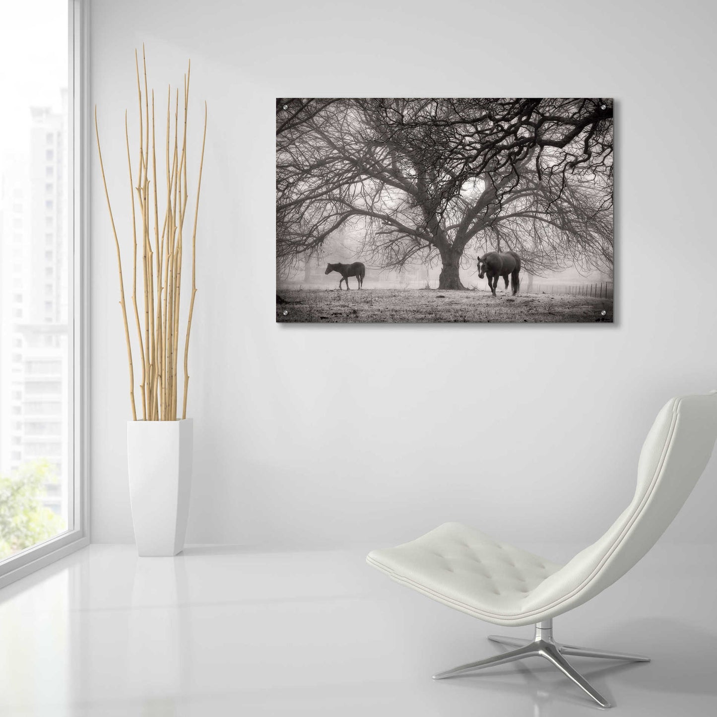 Epic Art 'Morning Calm II BW' by Debra Van Swearingen, Acrylic Glass Wall Art,36x24