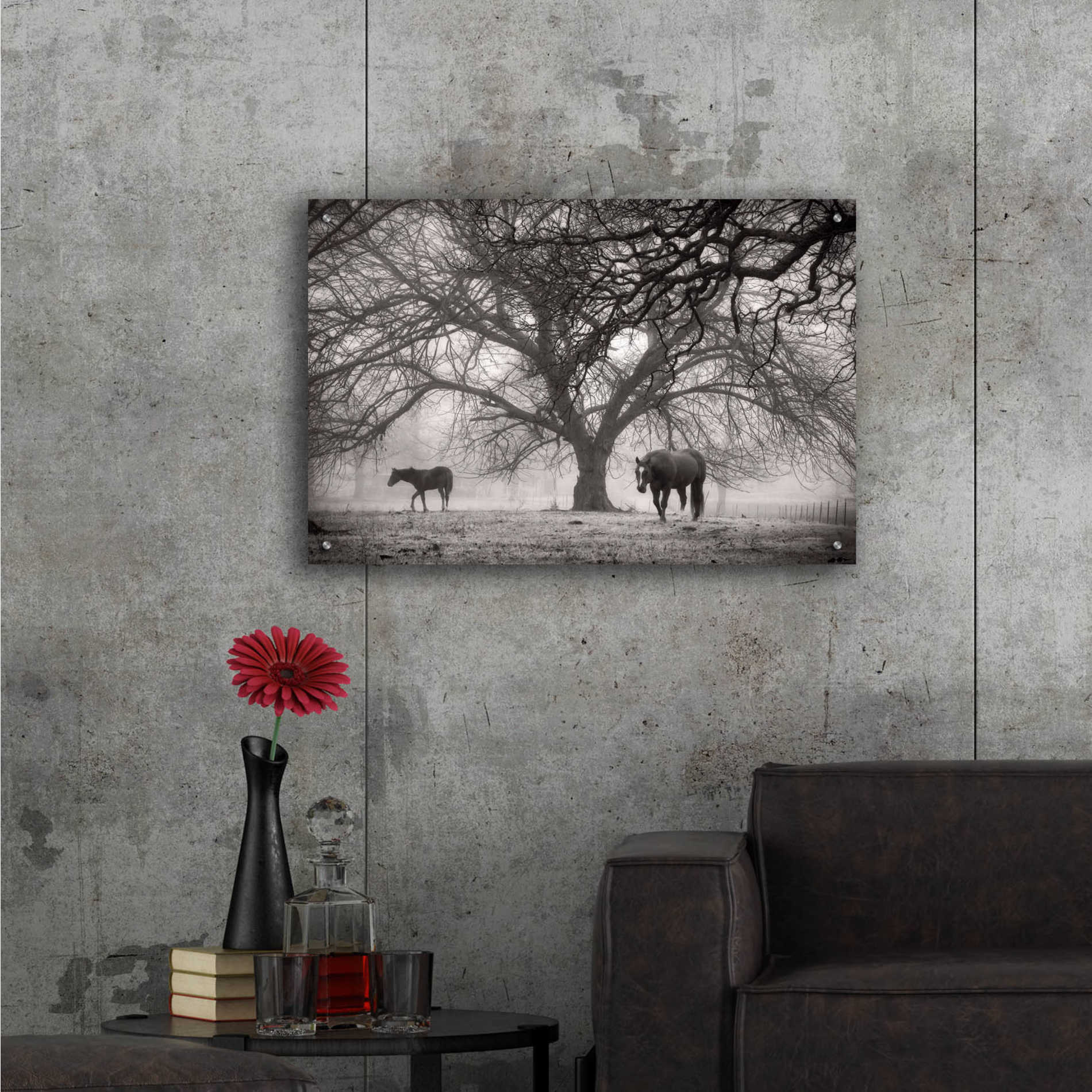 Epic Art 'Morning Calm II BW' by Debra Van Swearingen, Acrylic Glass Wall Art,36x24