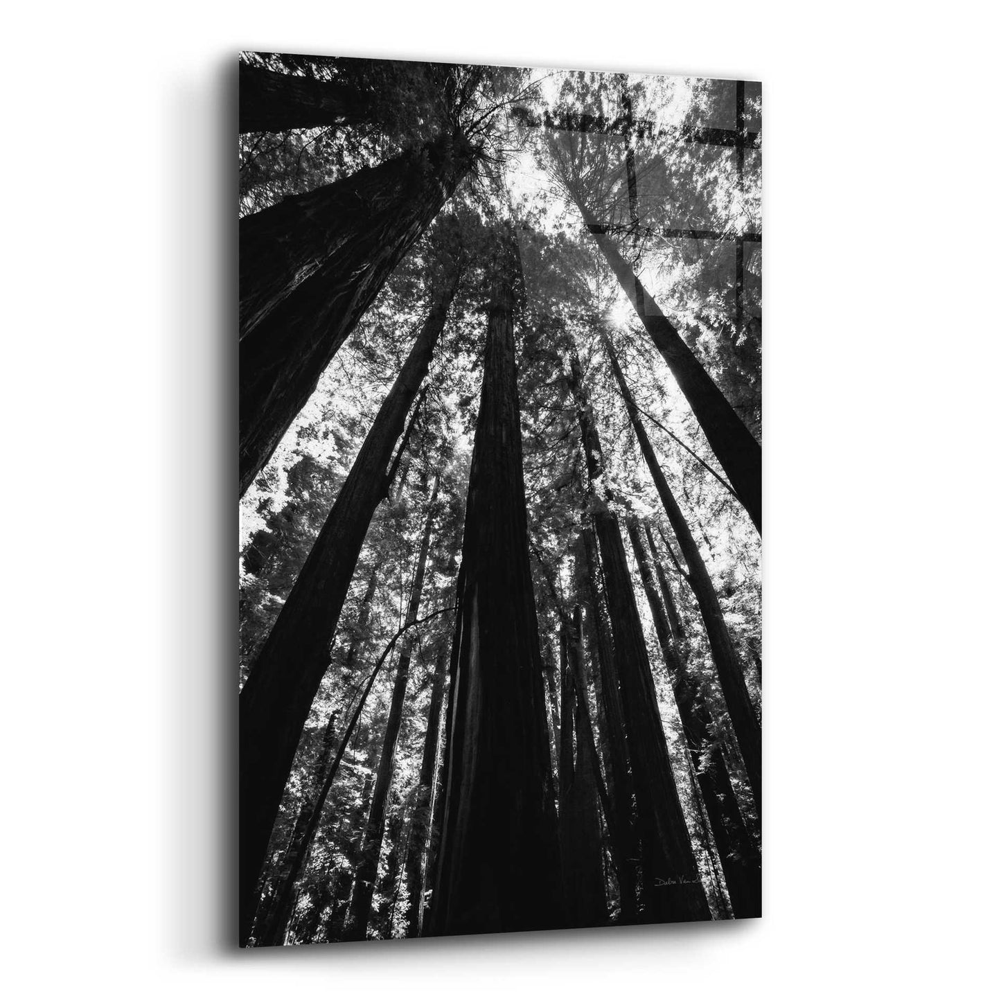 Epic Art 'The Stand BW' by Debra Van Swearingen, Acrylic Glass Wall Art,12x16