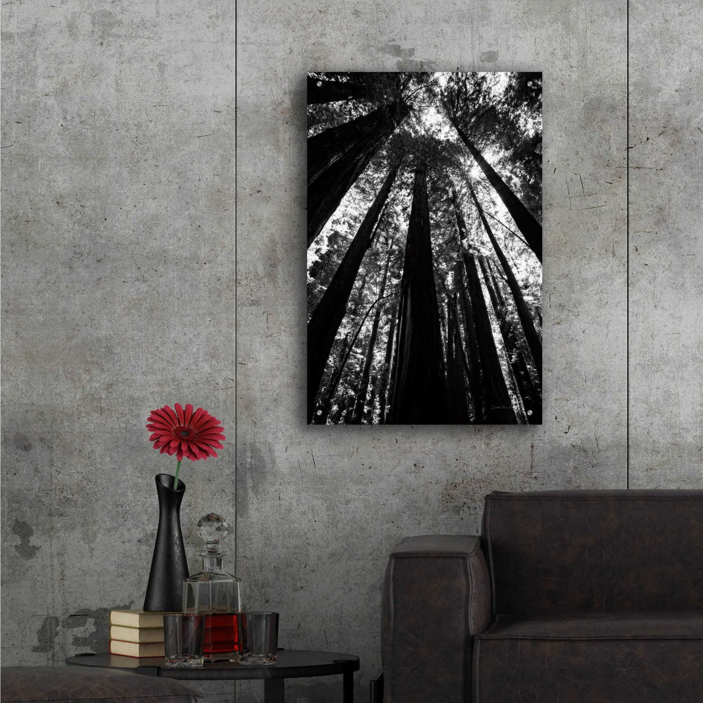 Epic Art 'The Stand BW' by Debra Van Swearingen, Acrylic Glass Wall Art,24x36