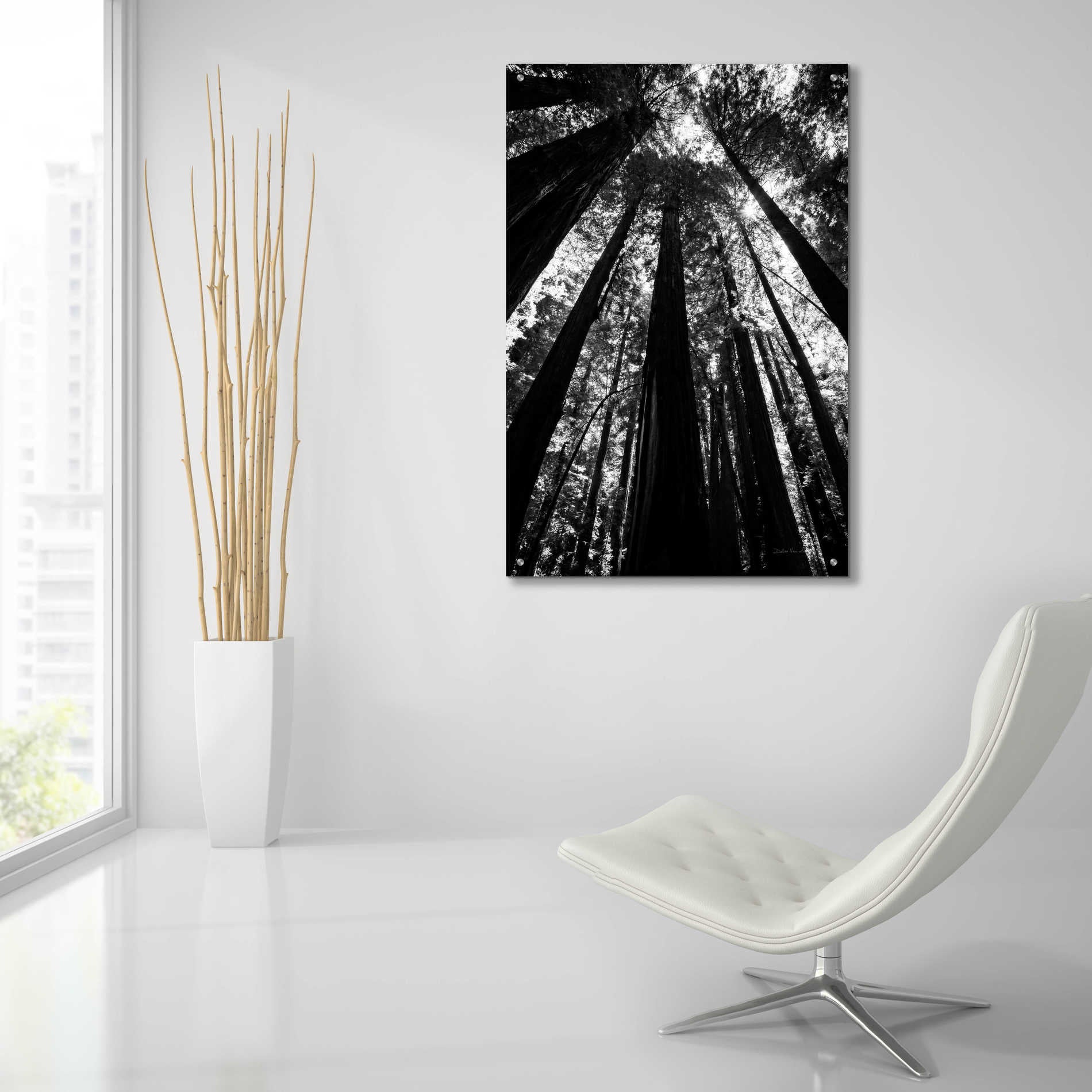 Epic Art 'The Stand BW' by Debra Van Swearingen, Acrylic Glass Wall Art,24x36