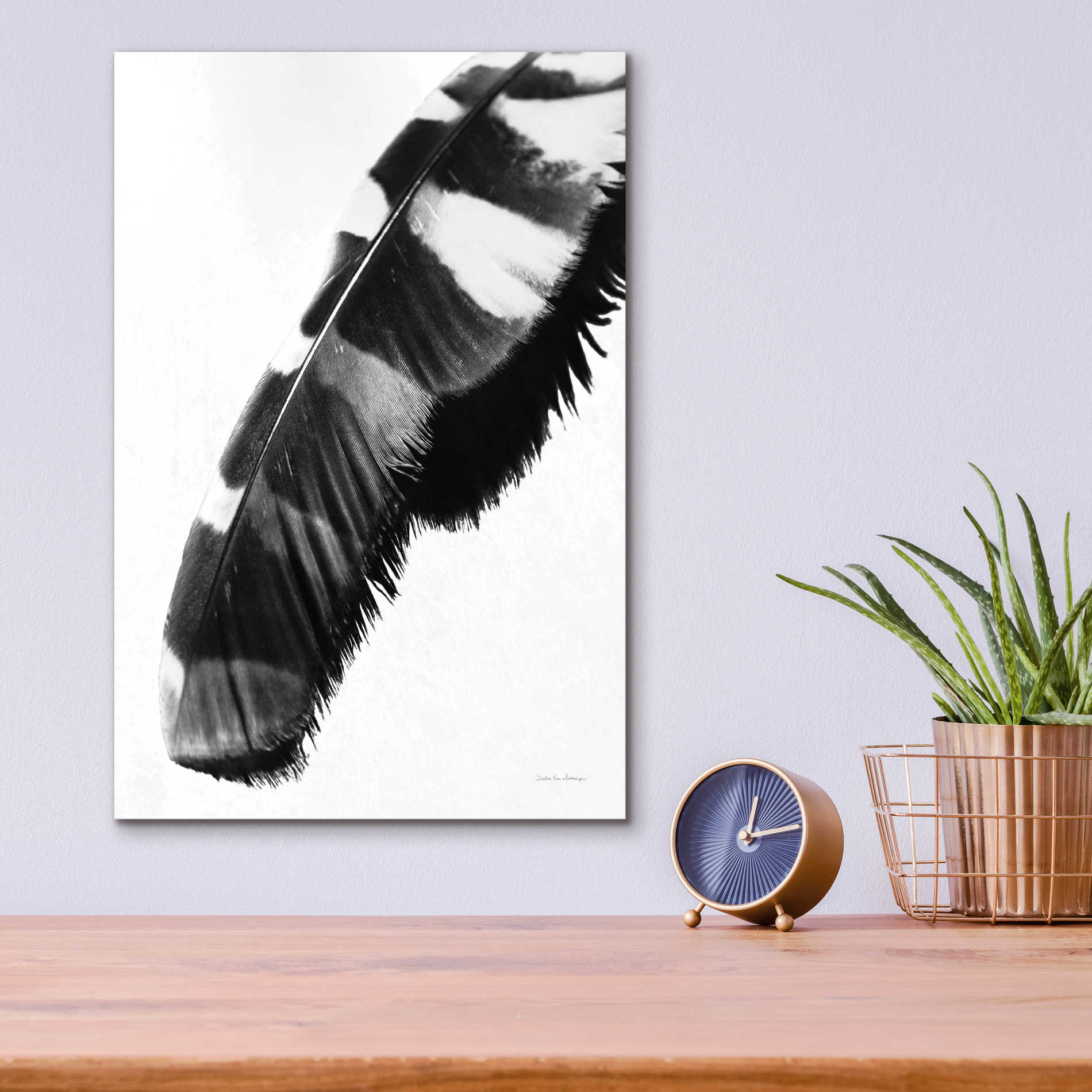 Epic Art 'Feather Shadow II White' by Debra Van Swearingen, Acrylic Glass Wall Art,12x16