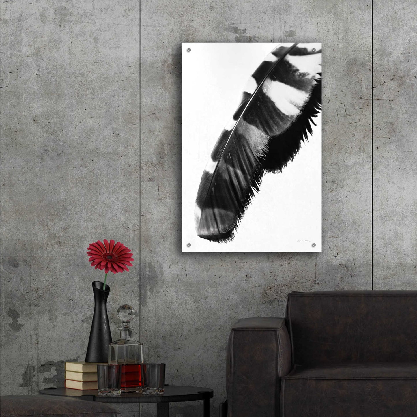 Epic Art 'Feather Shadow II White' by Debra Van Swearingen, Acrylic Glass Wall Art,24x36