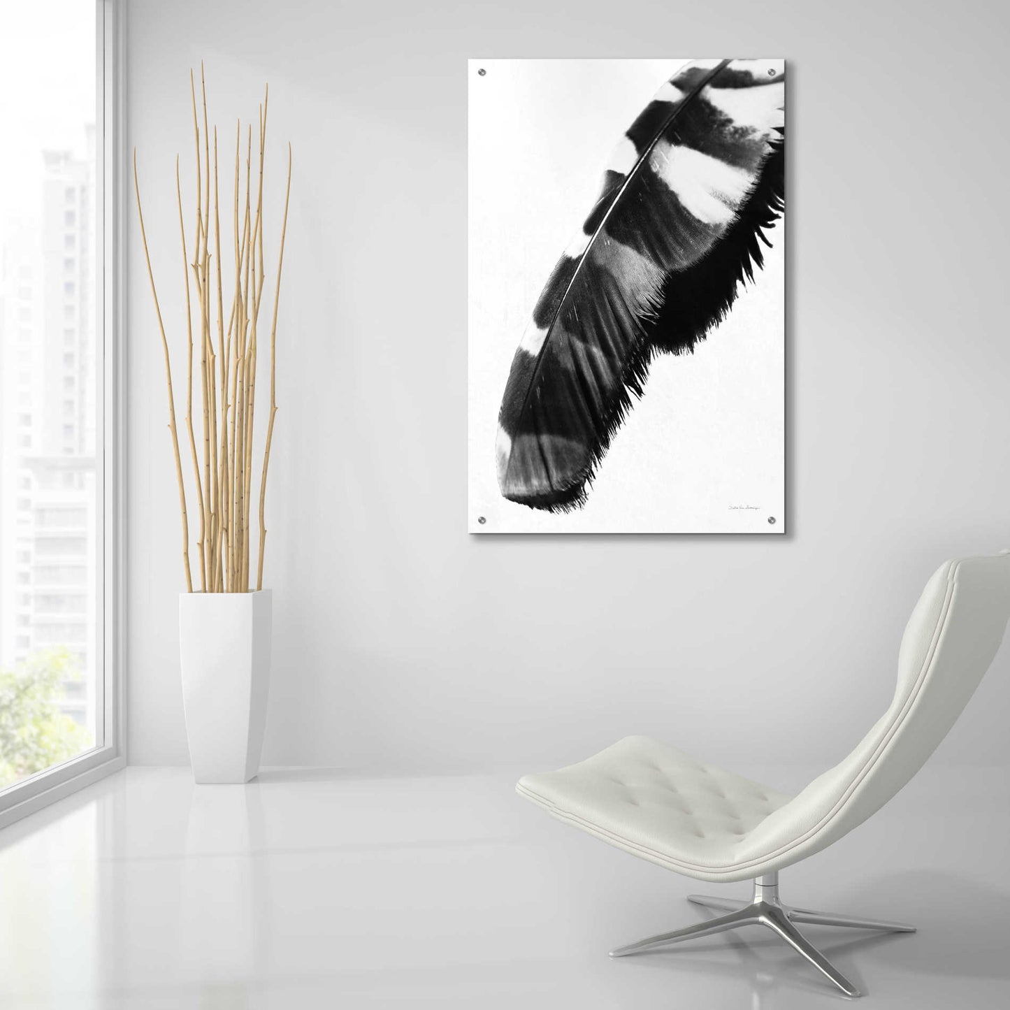 Epic Art 'Feather Shadow II White' by Debra Van Swearingen, Acrylic Glass Wall Art,24x36