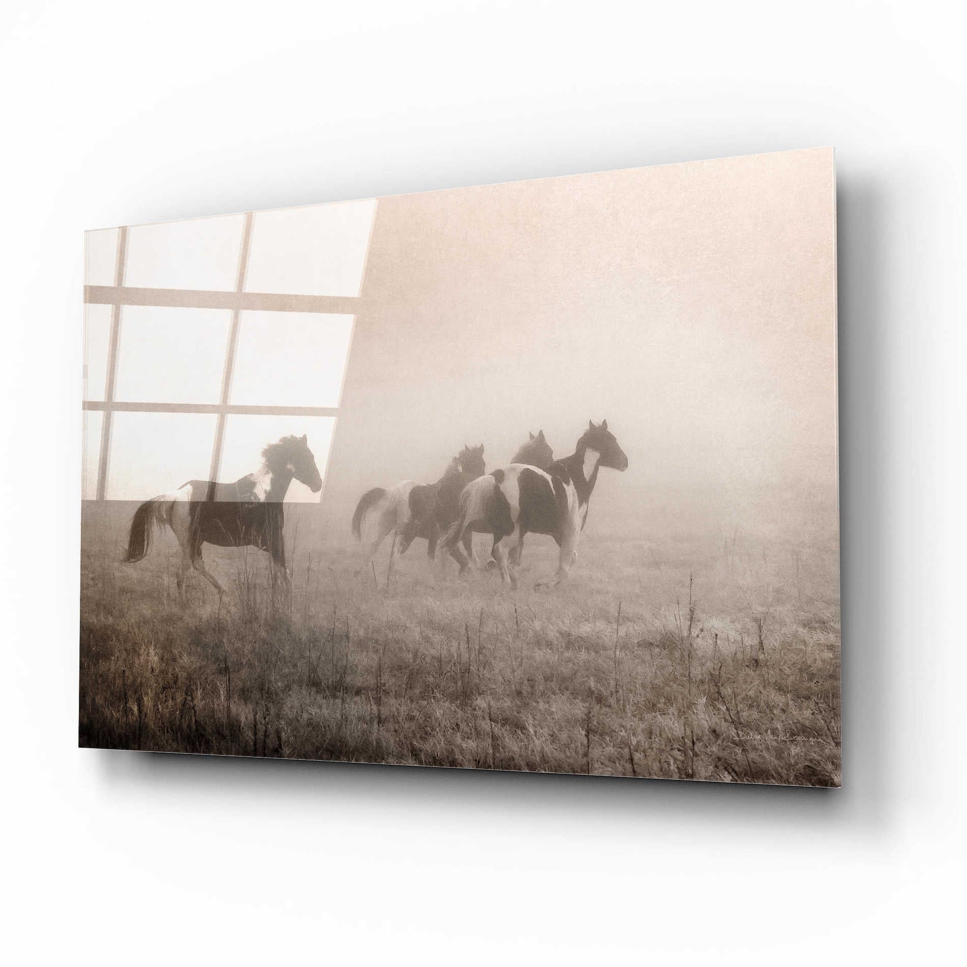 Epic Art 'Painted Horses on the Run' by Debra Van Swearingen, Acrylic Glass Wall Art,16x12