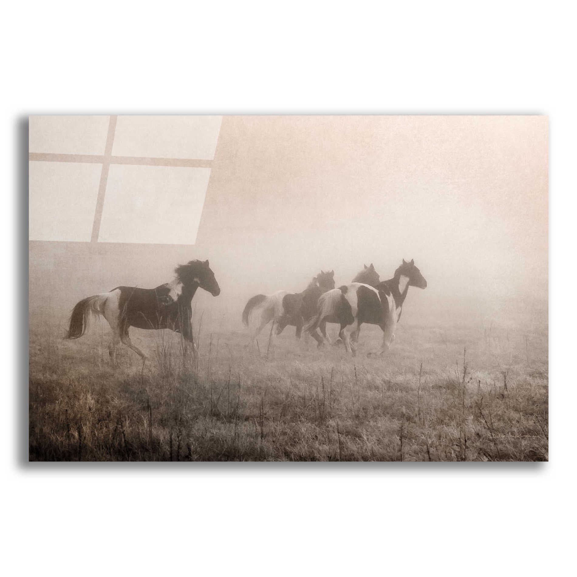 Epic Art 'Painted Horses on the Run' by Debra Van Swearingen, Acrylic Glass Wall Art,16x12