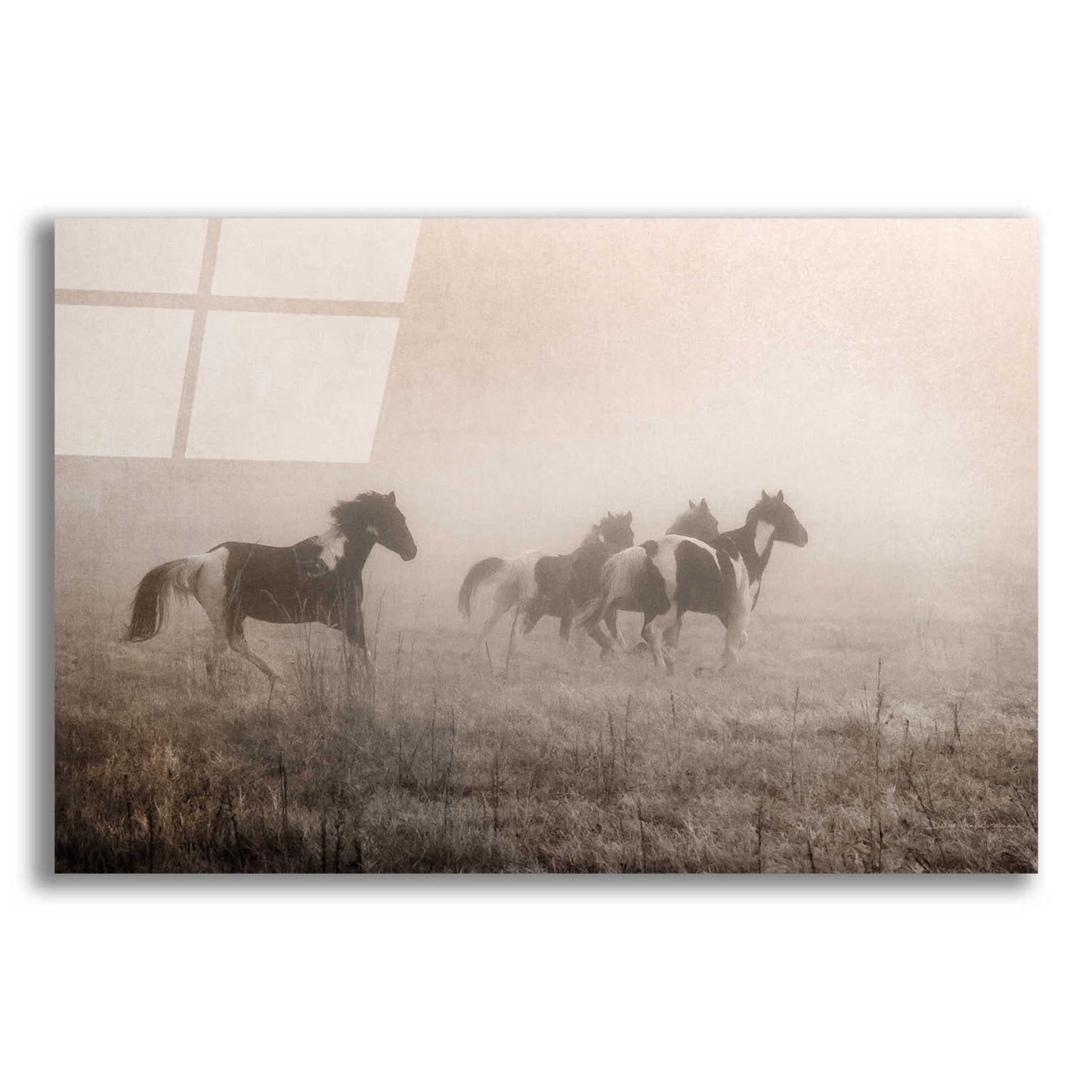 Epic Art 'Painted Horses on the Run' by Debra Van Swearingen, Acrylic Glass Wall Art,24x16