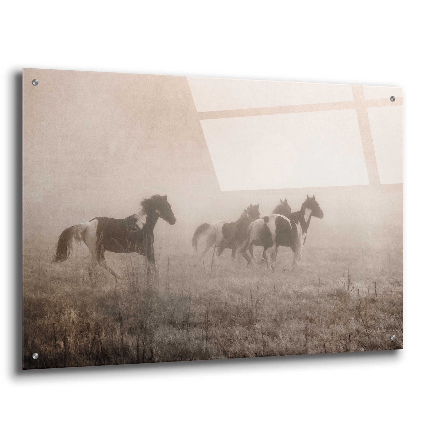 Epic Art 'Painted Horses on the Run' by Debra Van Swearingen, Acrylic Glass Wall Art,36x24