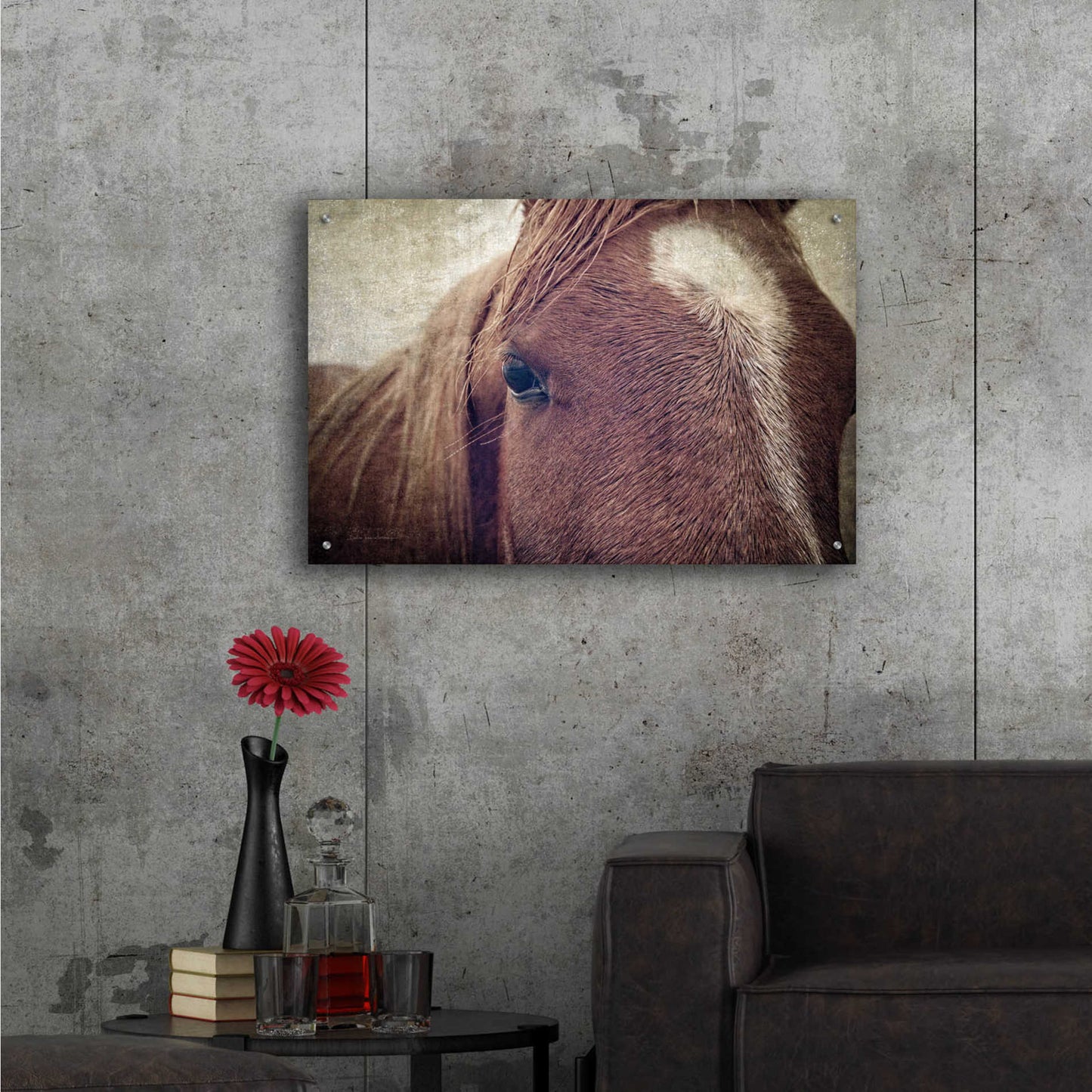 Epic Art 'Dew Lashes' by Debra Van Swearingen, Acrylic Glass Wall Art,36x24