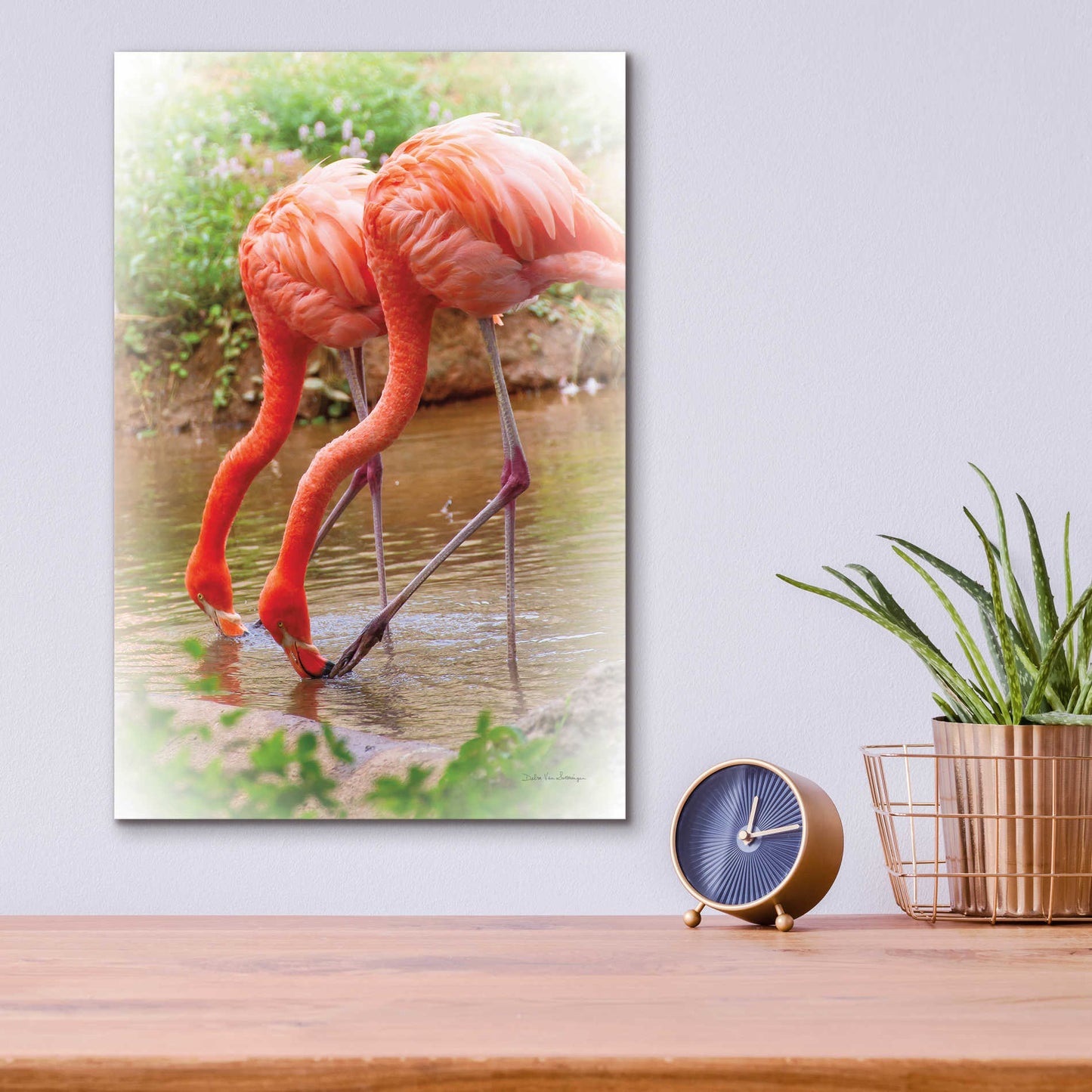 Epic Art 'Two Flamingos' by Debra Van Swearingen, Acrylic Glass Wall Art,12x16