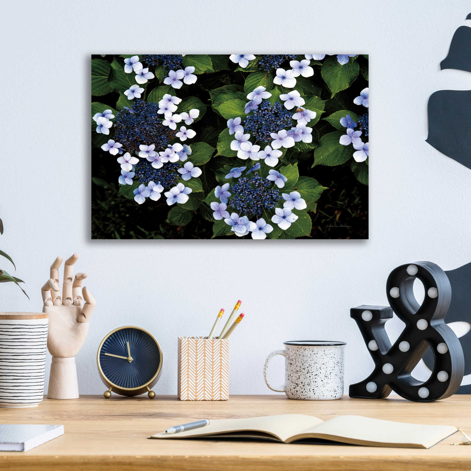 Epic Art 'Hydrangeas Opening' by Debra Van Swearingen, Acrylic Glass Wall Art,16x12