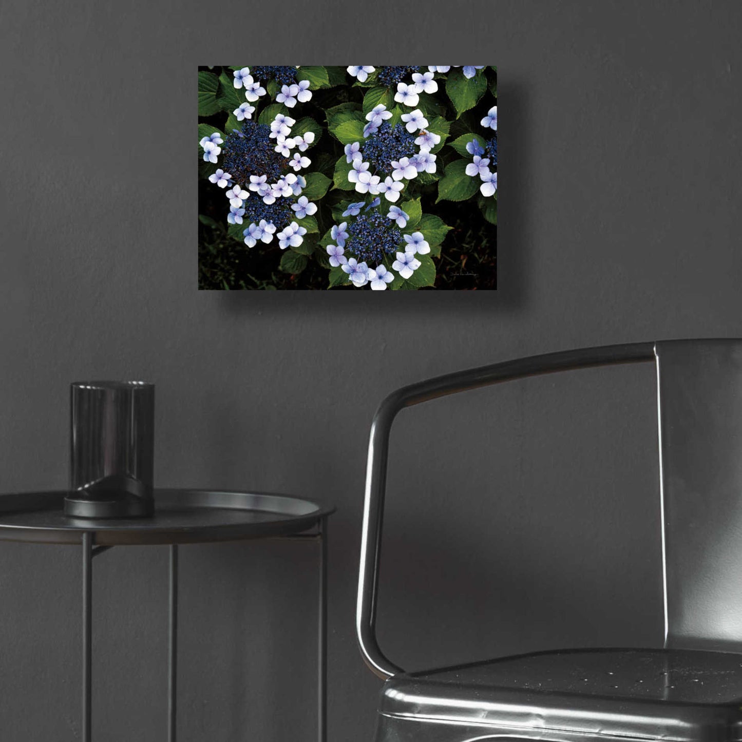 Epic Art 'Hydrangeas Opening' by Debra Van Swearingen, Acrylic Glass Wall Art,16x12