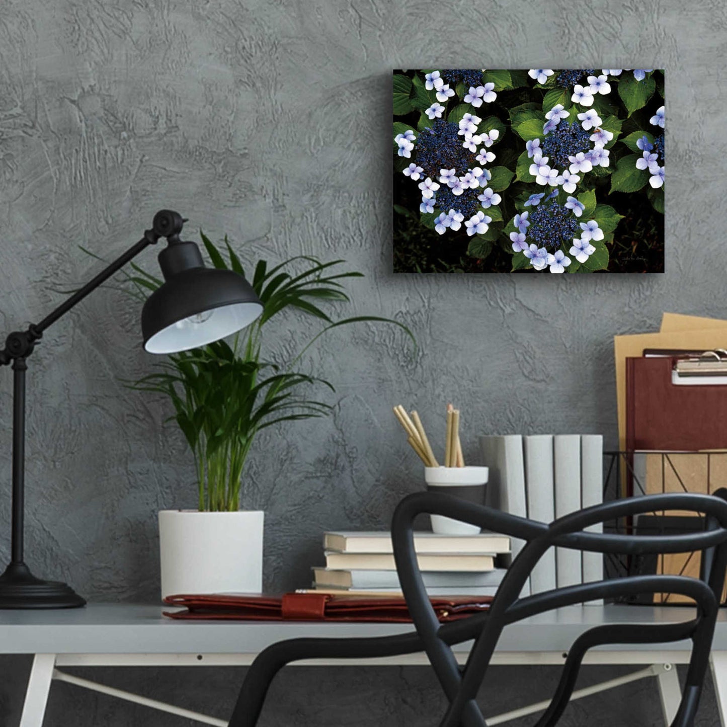 Epic Art 'Hydrangeas Opening' by Debra Van Swearingen, Acrylic Glass Wall Art,16x12