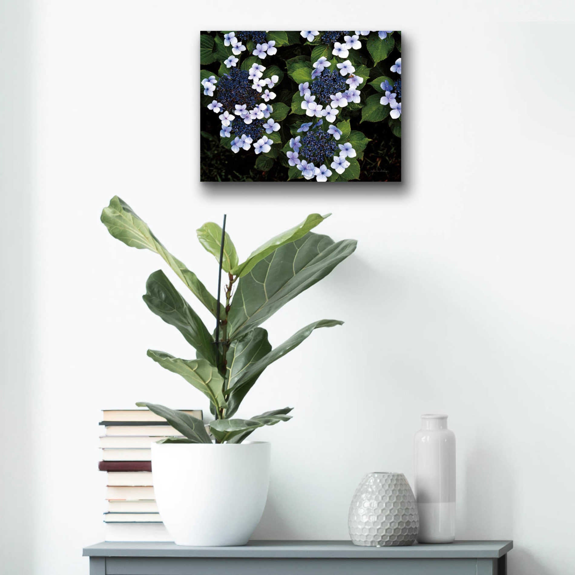 Epic Art 'Hydrangeas Opening' by Debra Van Swearingen, Acrylic Glass Wall Art,16x12