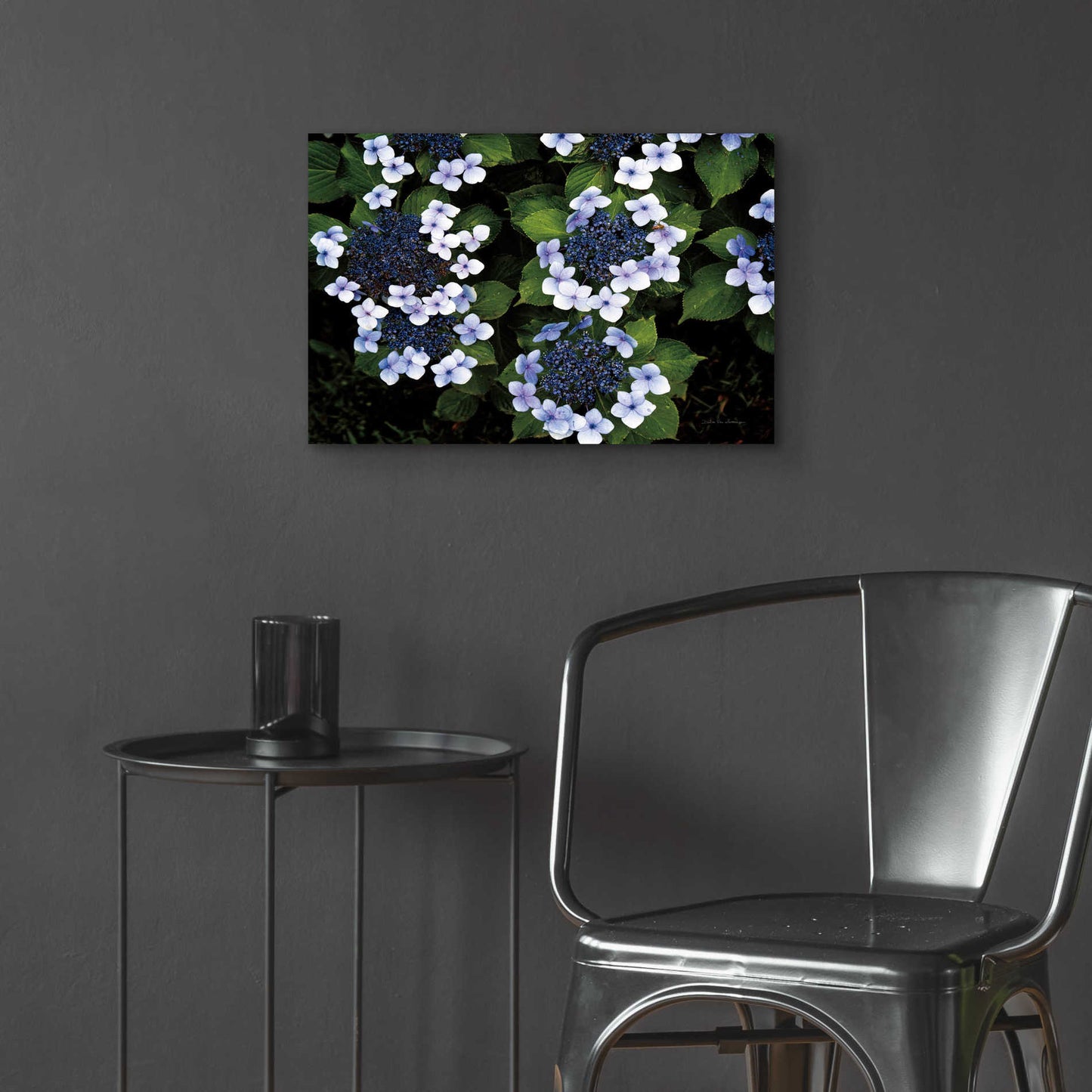 Epic Art 'Hydrangeas Opening' by Debra Van Swearingen, Acrylic Glass Wall Art,24x16