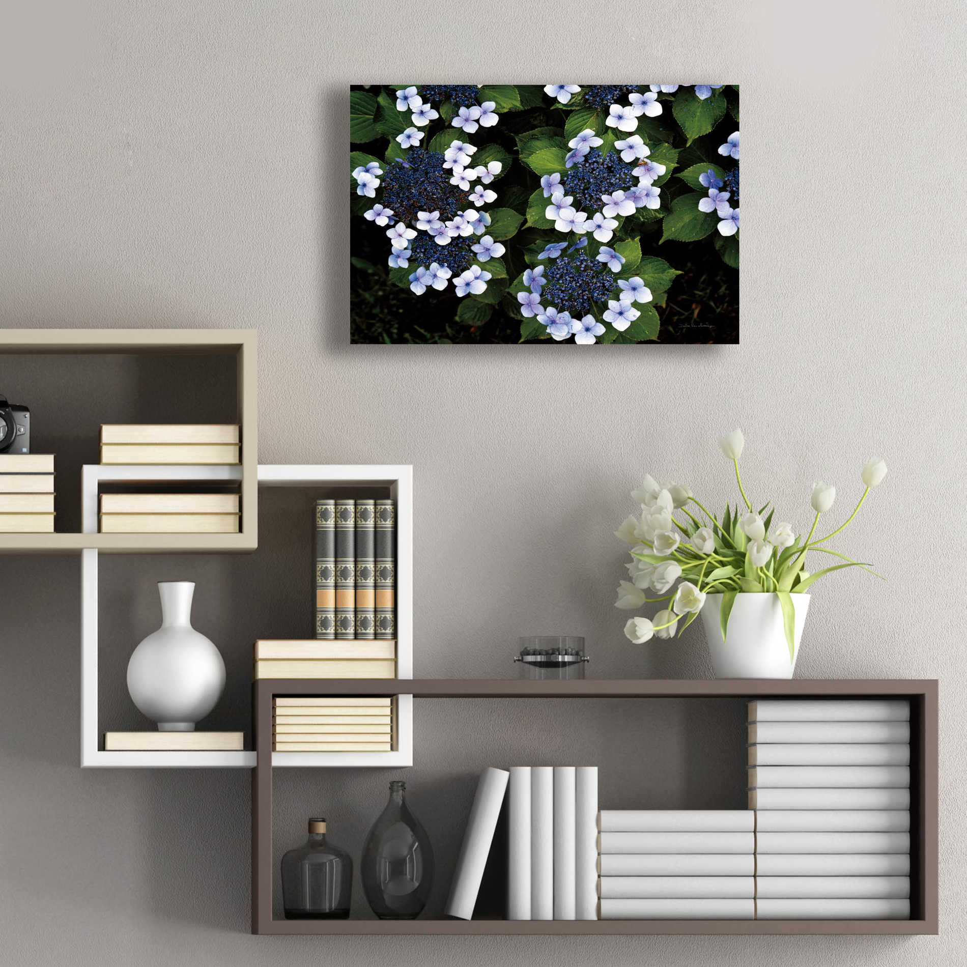 Epic Art 'Hydrangeas Opening' by Debra Van Swearingen, Acrylic Glass Wall Art,24x16