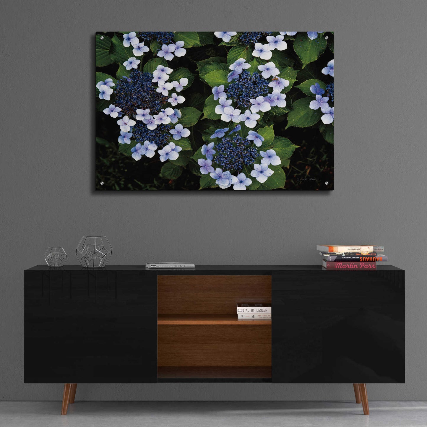 Epic Art 'Hydrangeas Opening' by Debra Van Swearingen, Acrylic Glass Wall Art,36x24