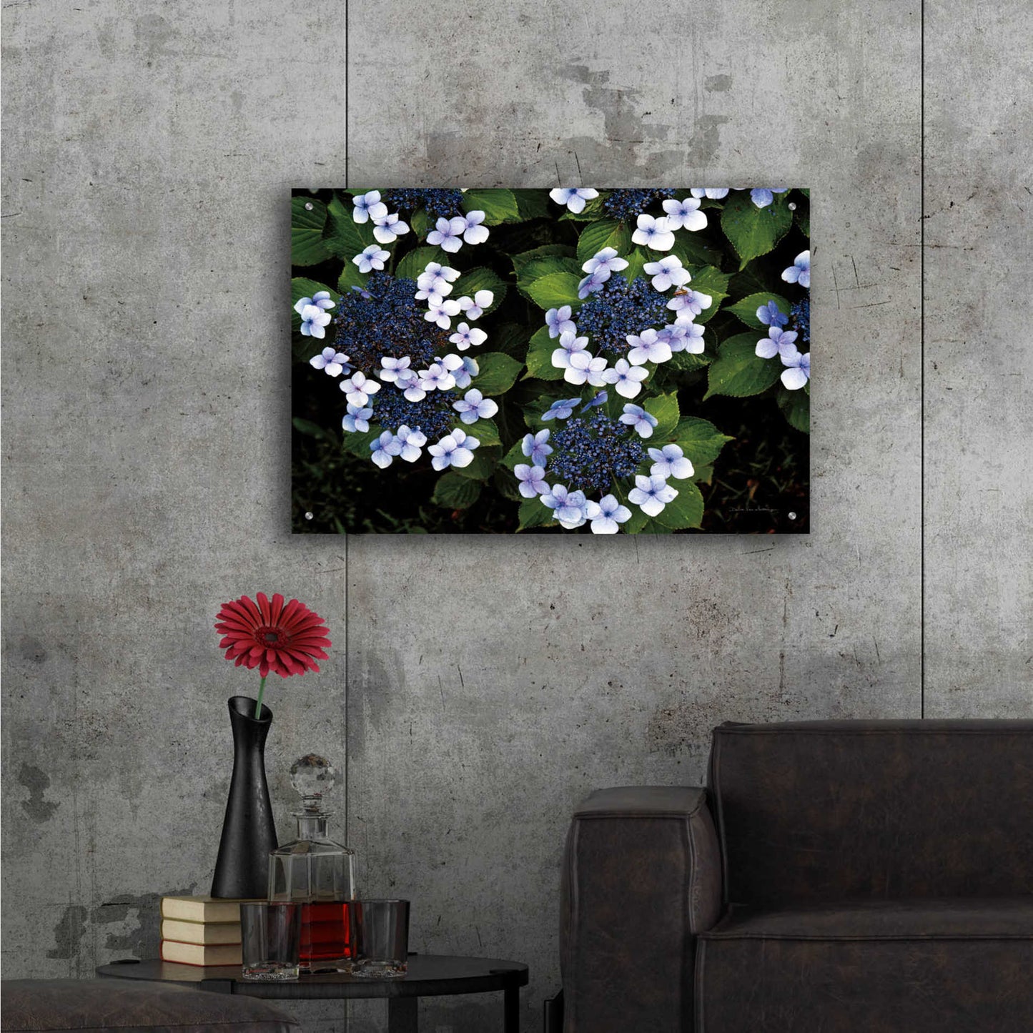 Epic Art 'Hydrangeas Opening' by Debra Van Swearingen, Acrylic Glass Wall Art,36x24