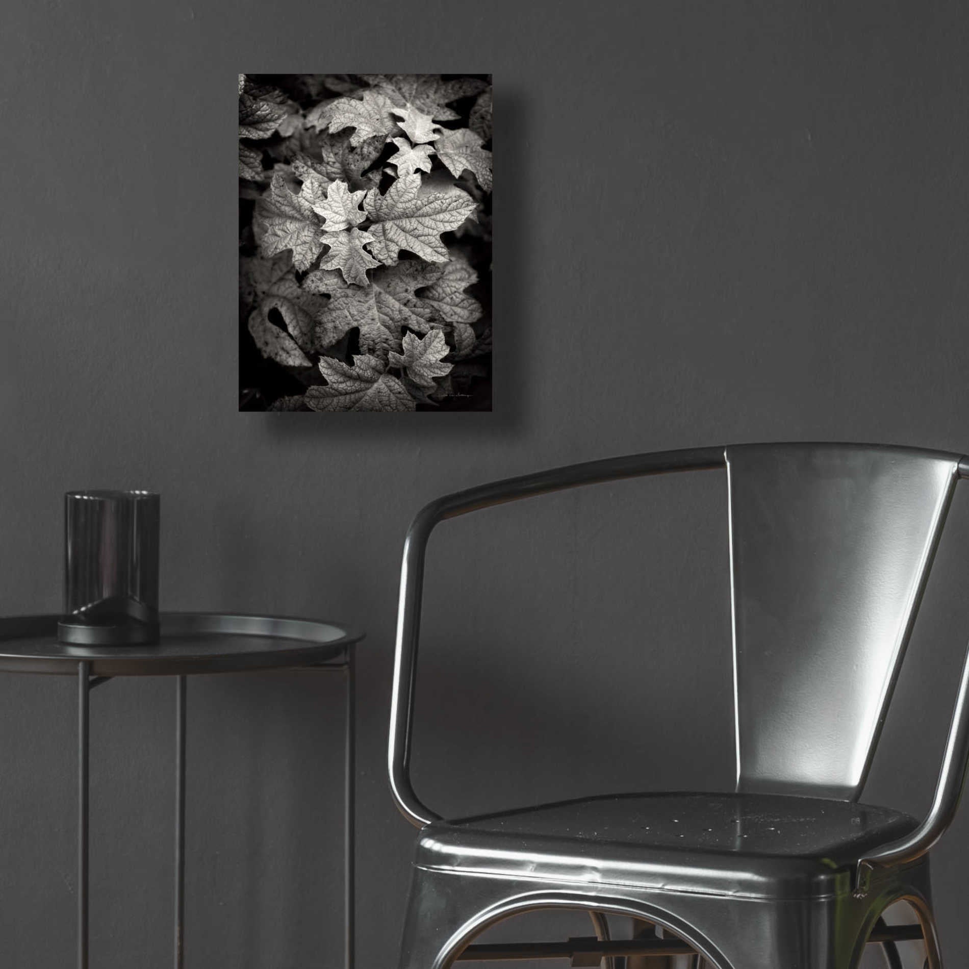 Epic Art 'Hydrangea Leaves in Black and White' by Debra Van Swearingen, Acrylic Glass Wall Art,12x16